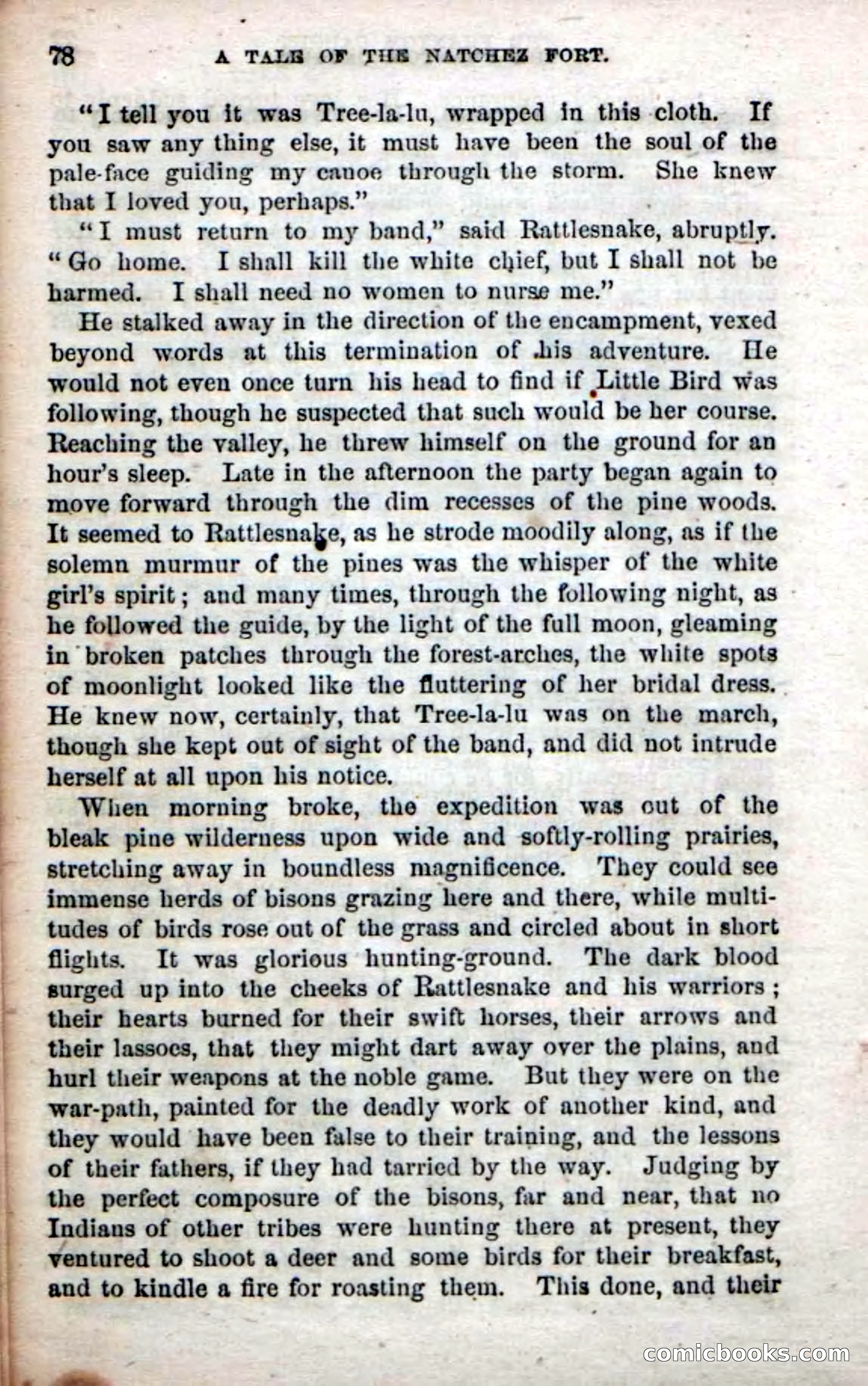 Beadle's Dime Novels No. 61: Laughing Eyes — page 80 of 100