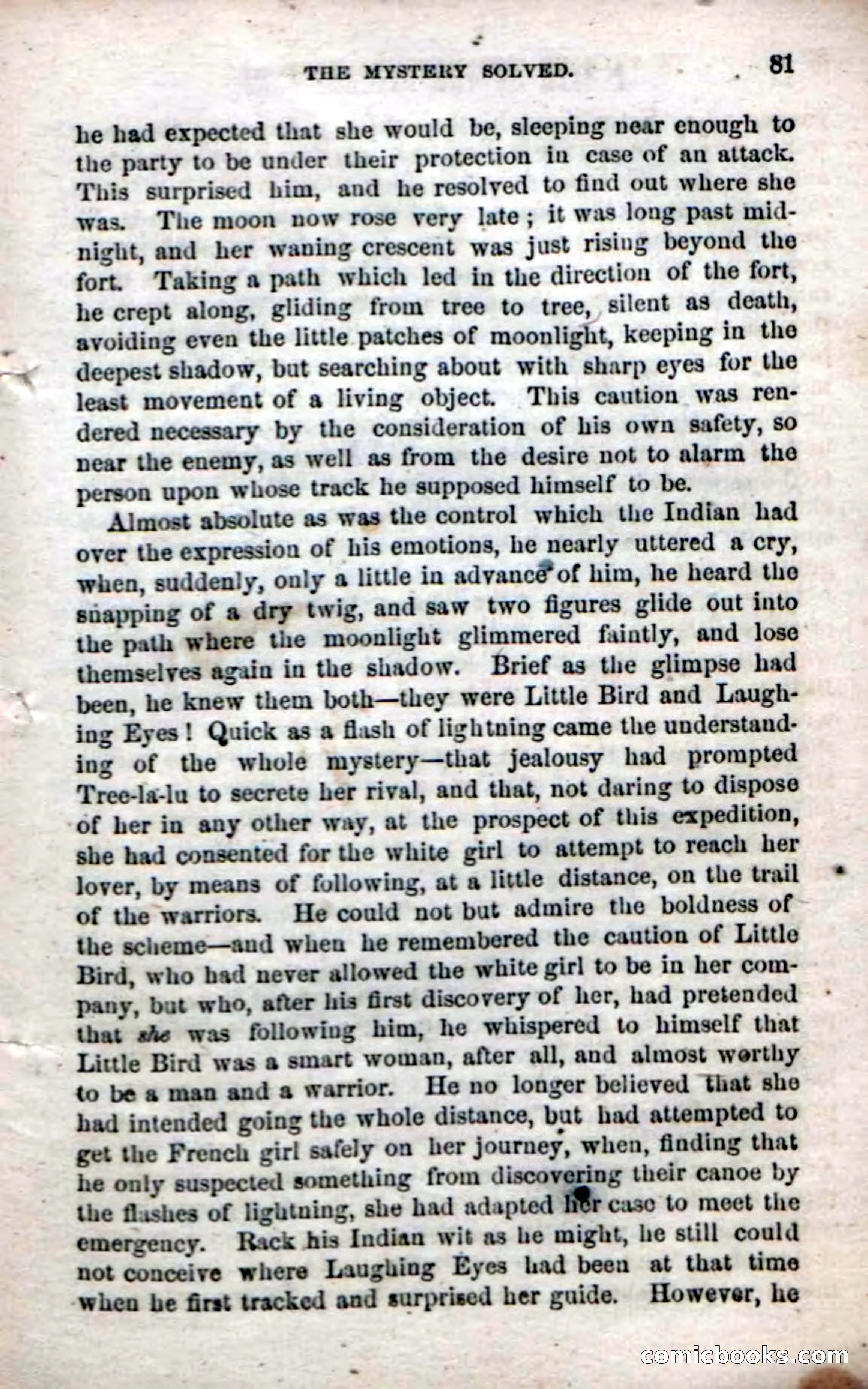 Beadle's Dime Novels No. 61: Laughing Eyes — page 83 of 100