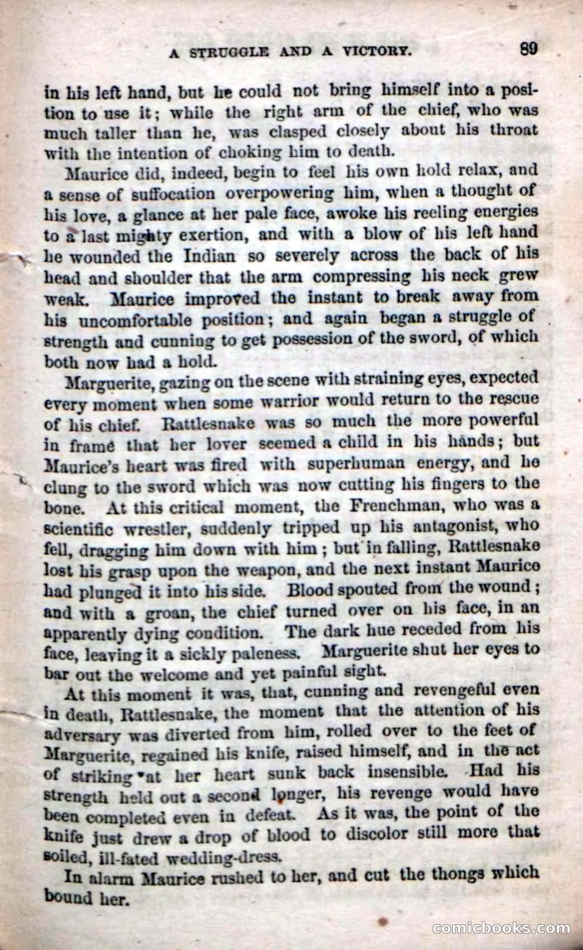 Beadle's Dime Novels No. 61: Laughing Eyes — page 91 of 100