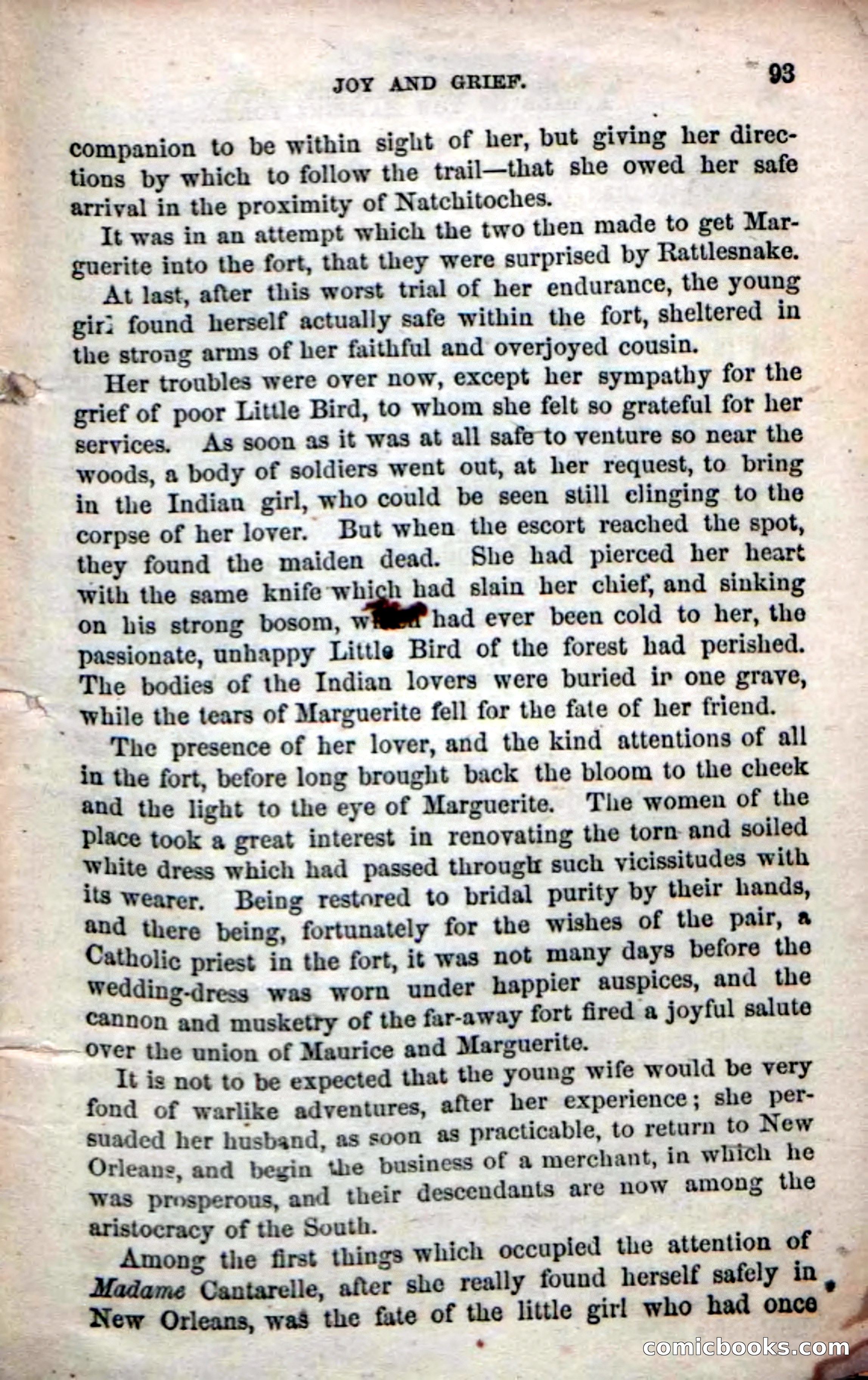 Beadle's Dime Novels No. 61: Laughing Eyes — page 95 of 100