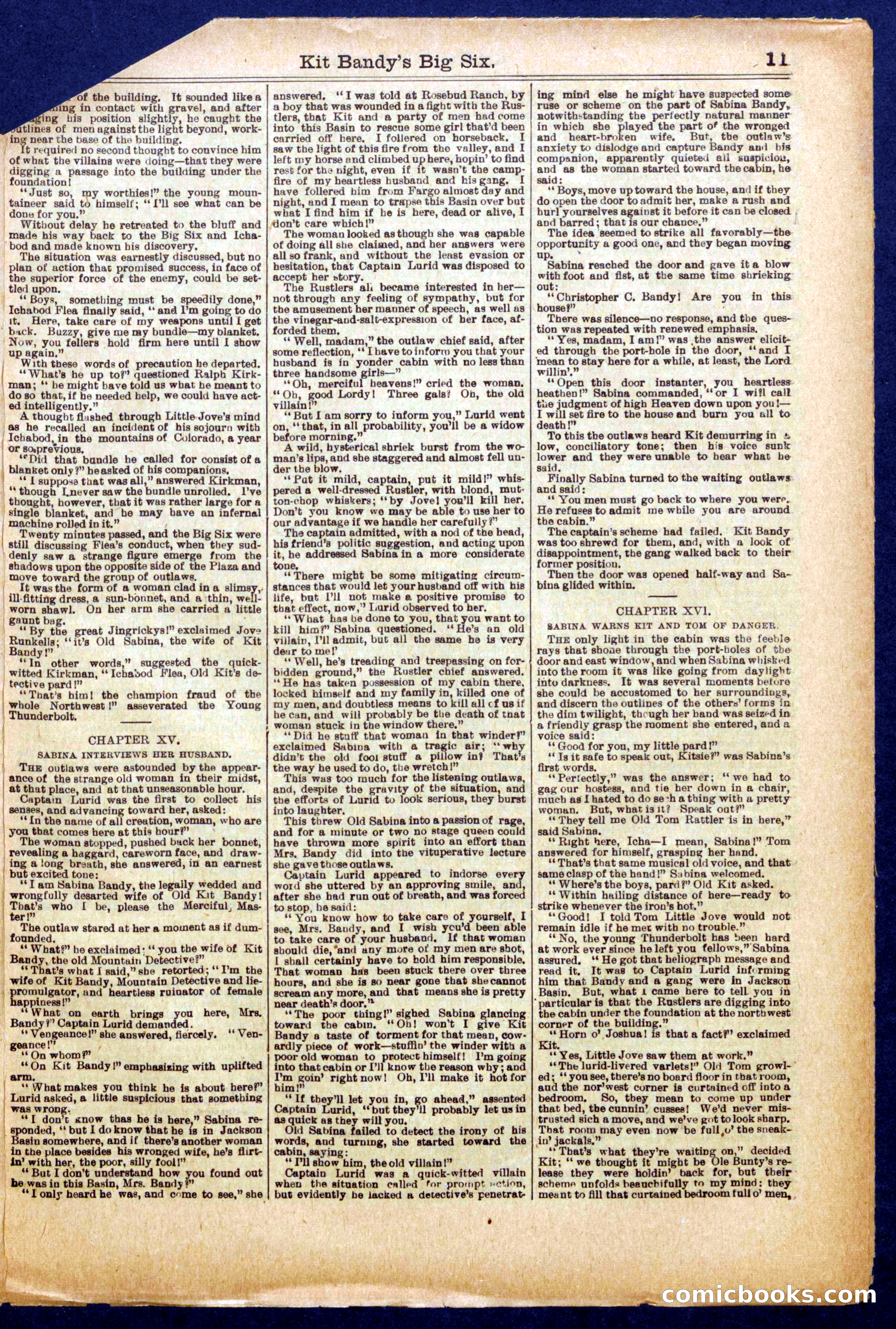 Beadle's Half Dime Library No. 1010 — page 11 of 16