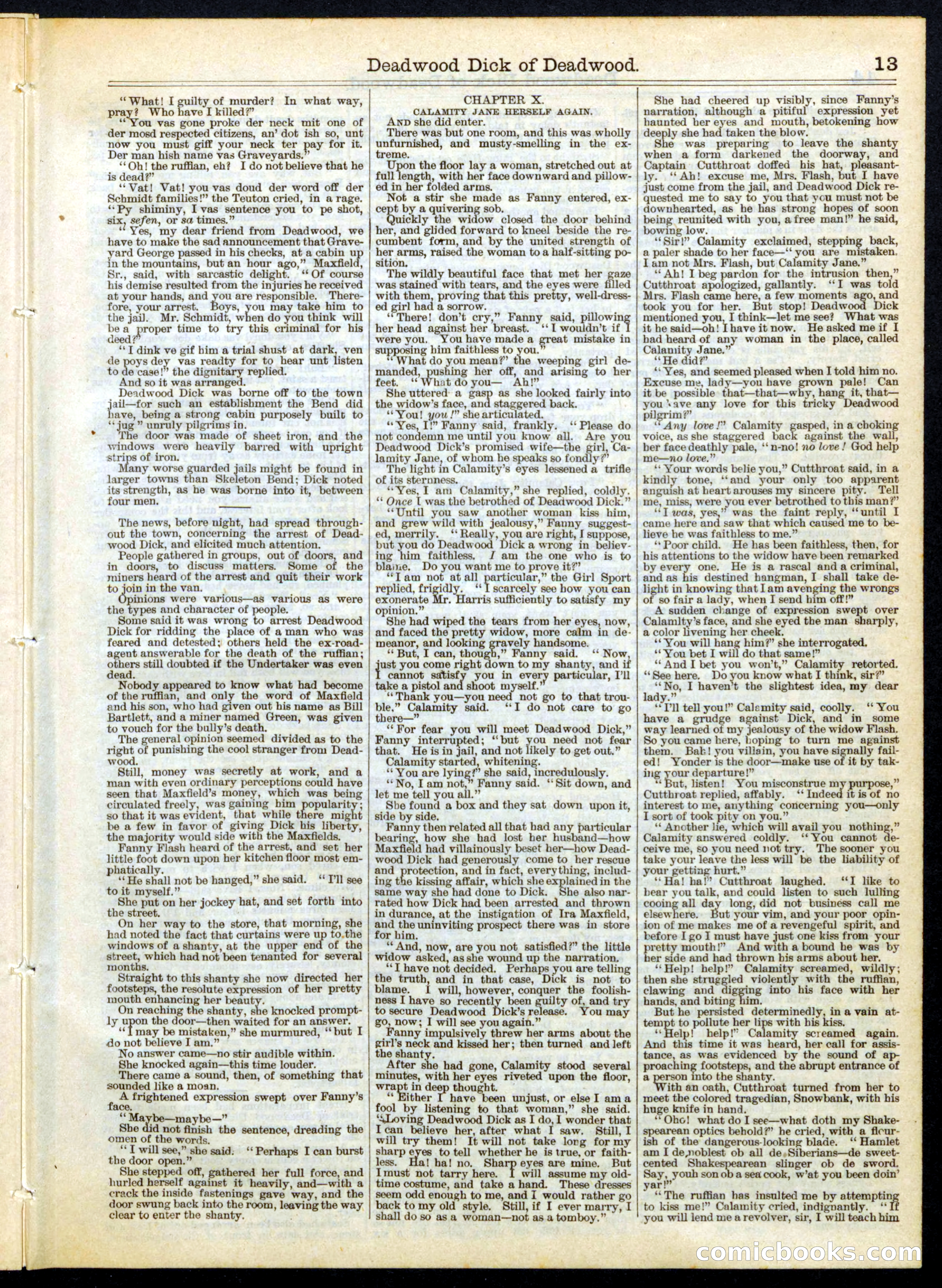 Beadle's Half Dime Library No. 156 — page 13 of 16