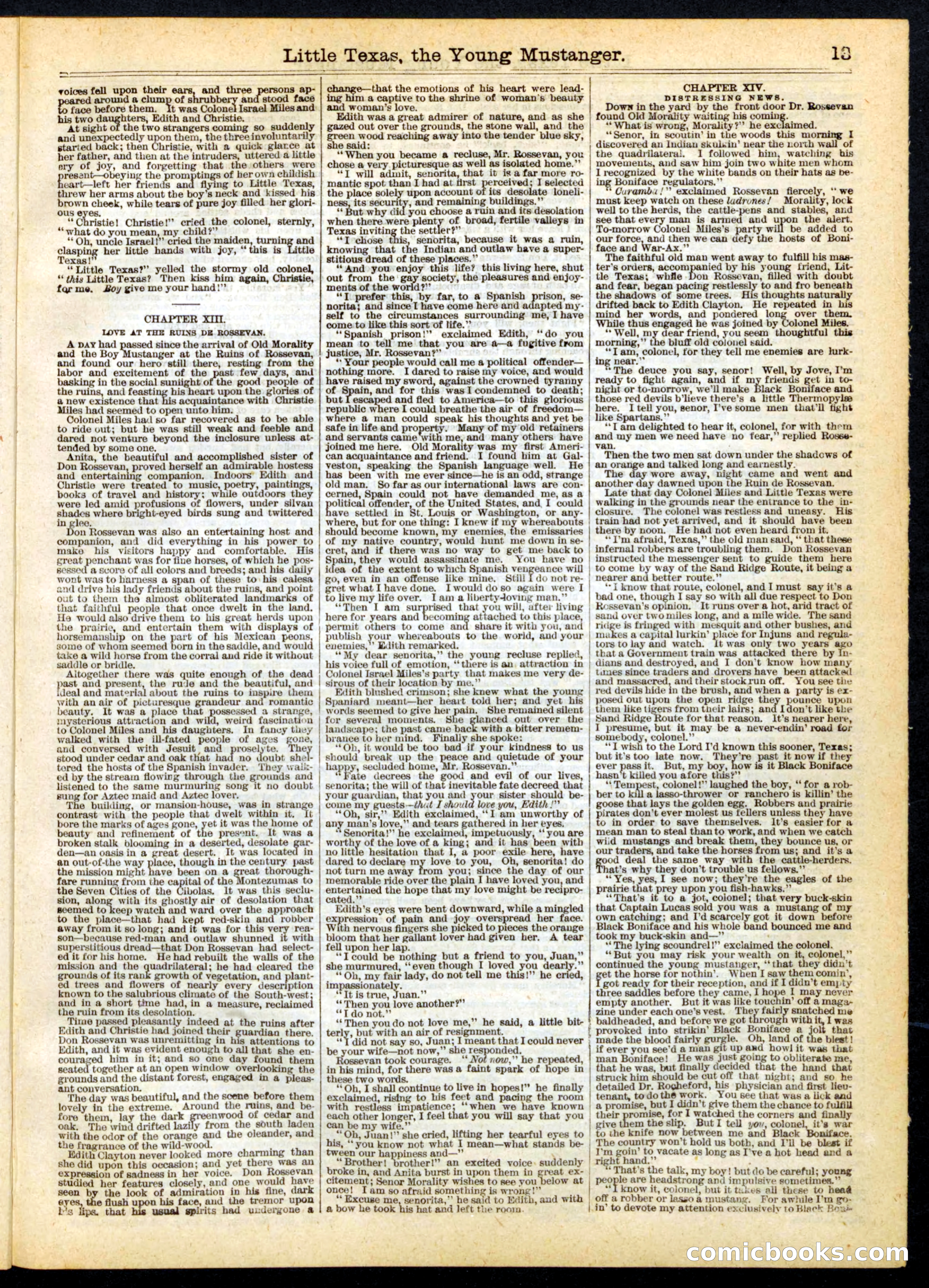 Beadle's Half Dime Library No. 163 — page 13 of 24