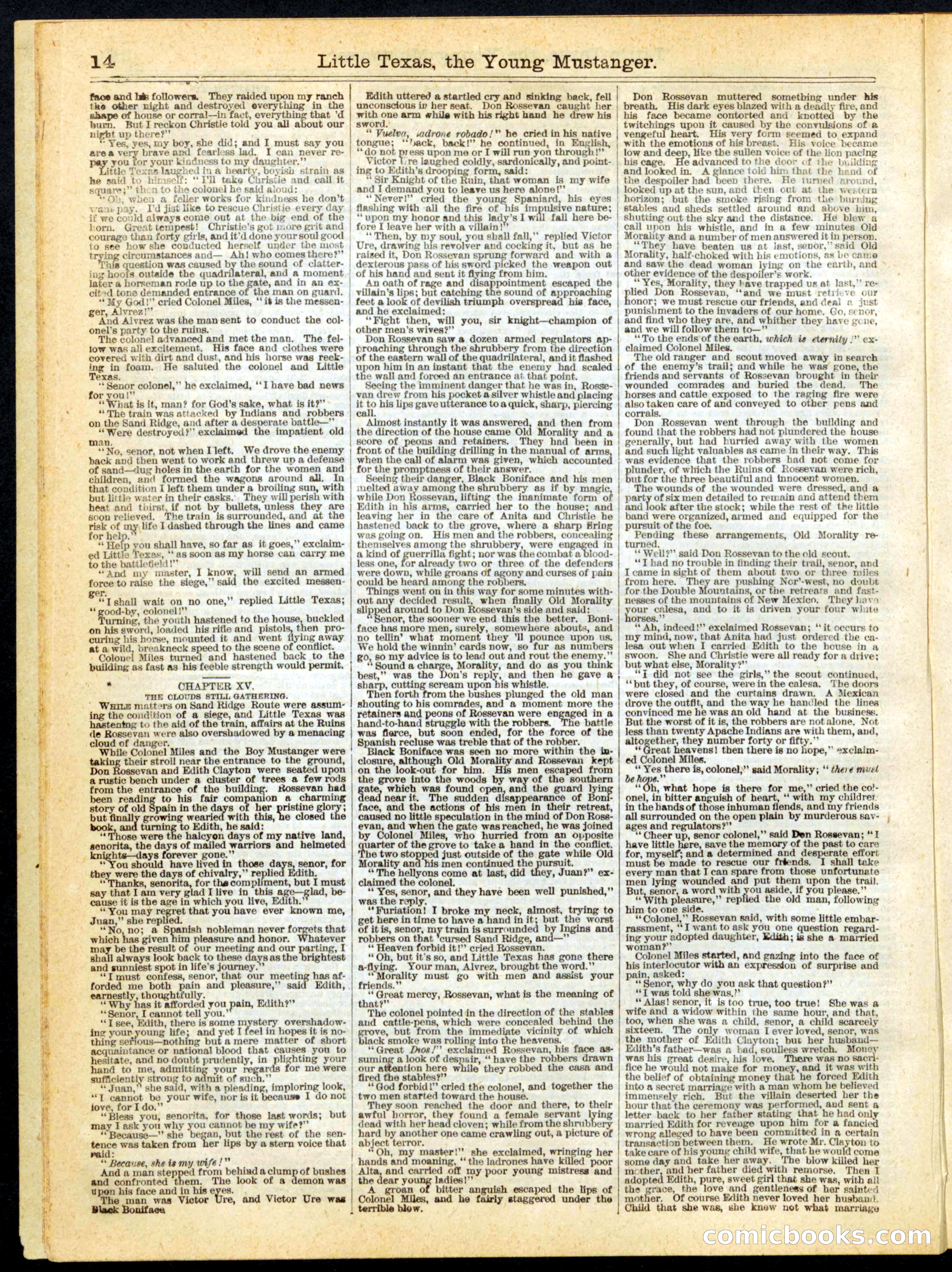 Beadle's Half Dime Library No. 163 — page 14 of 24