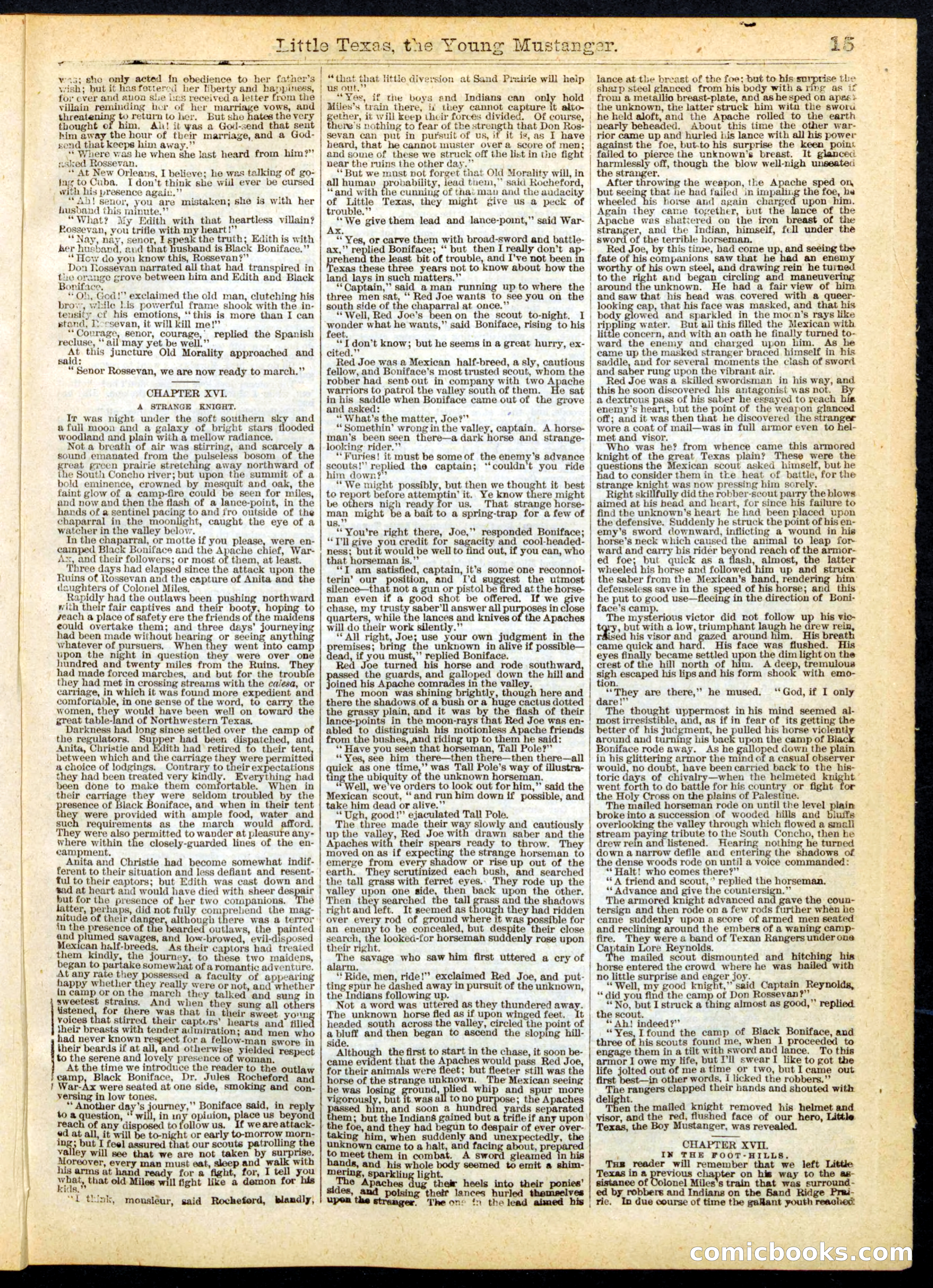 Beadle's Half Dime Library No. 163 — page 15 of 24