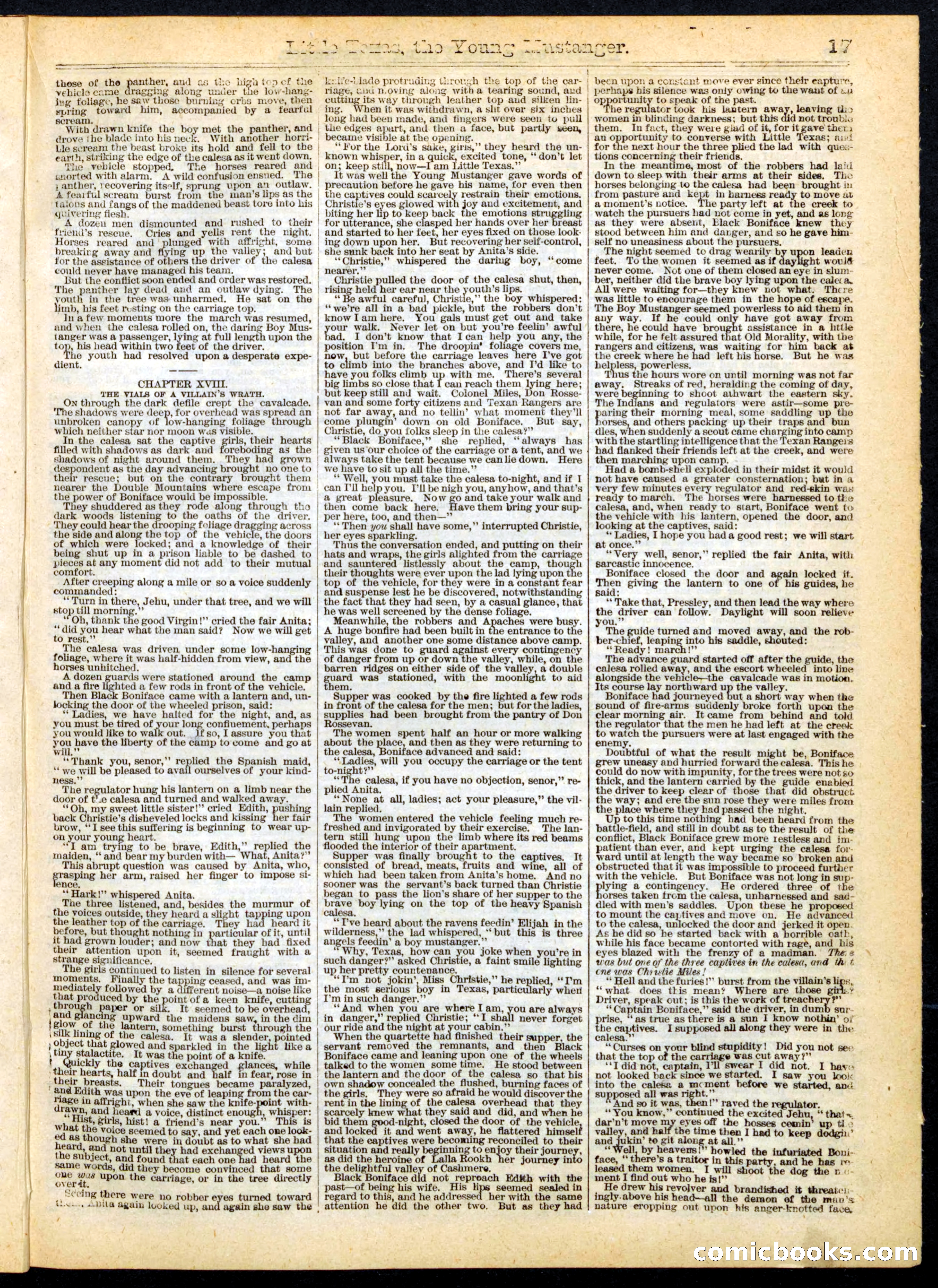 Beadle's Half Dime Library No. 163 — page 17 of 24