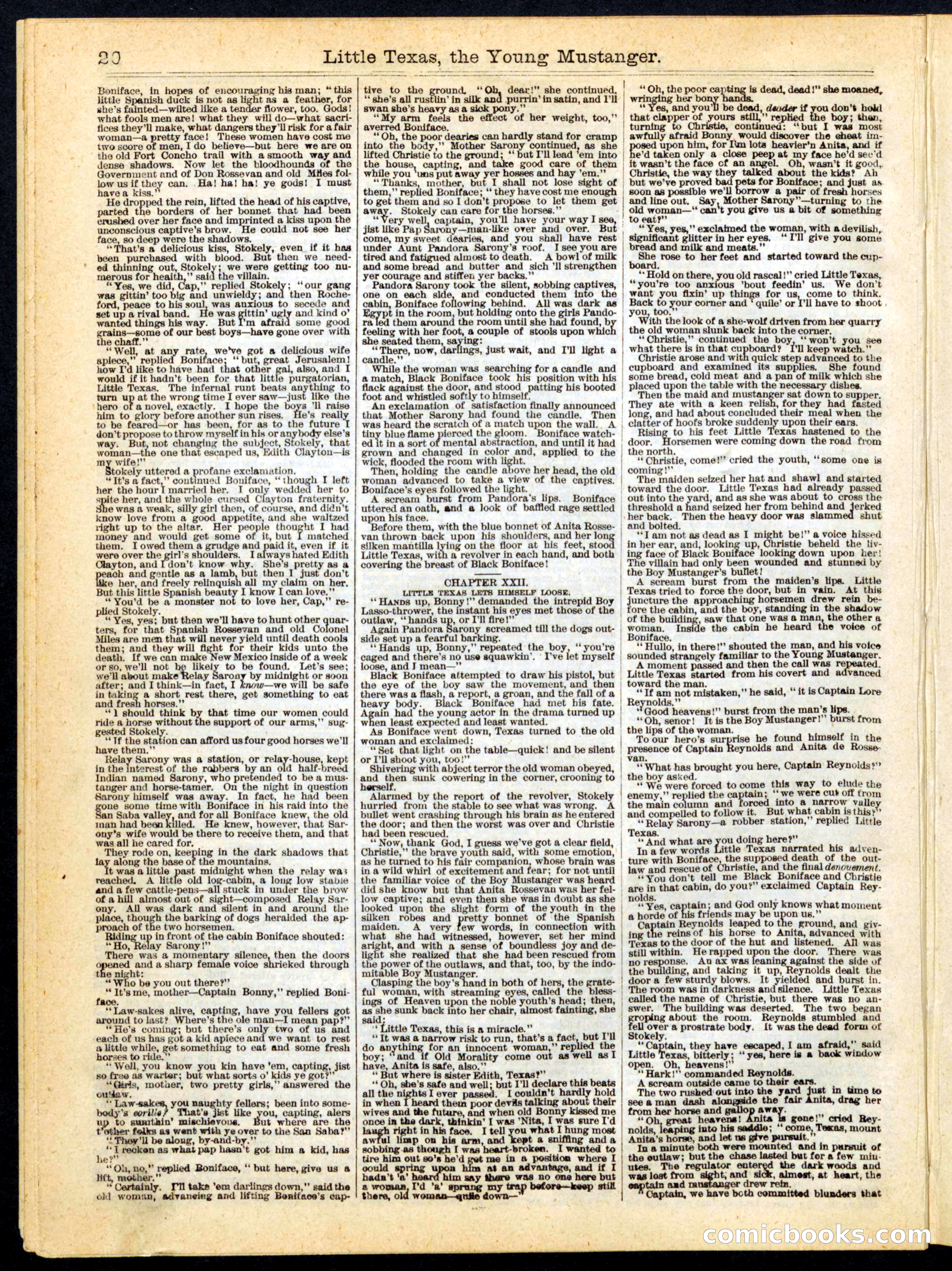 Beadle's Half Dime Library No. 163 — page 20 of 24