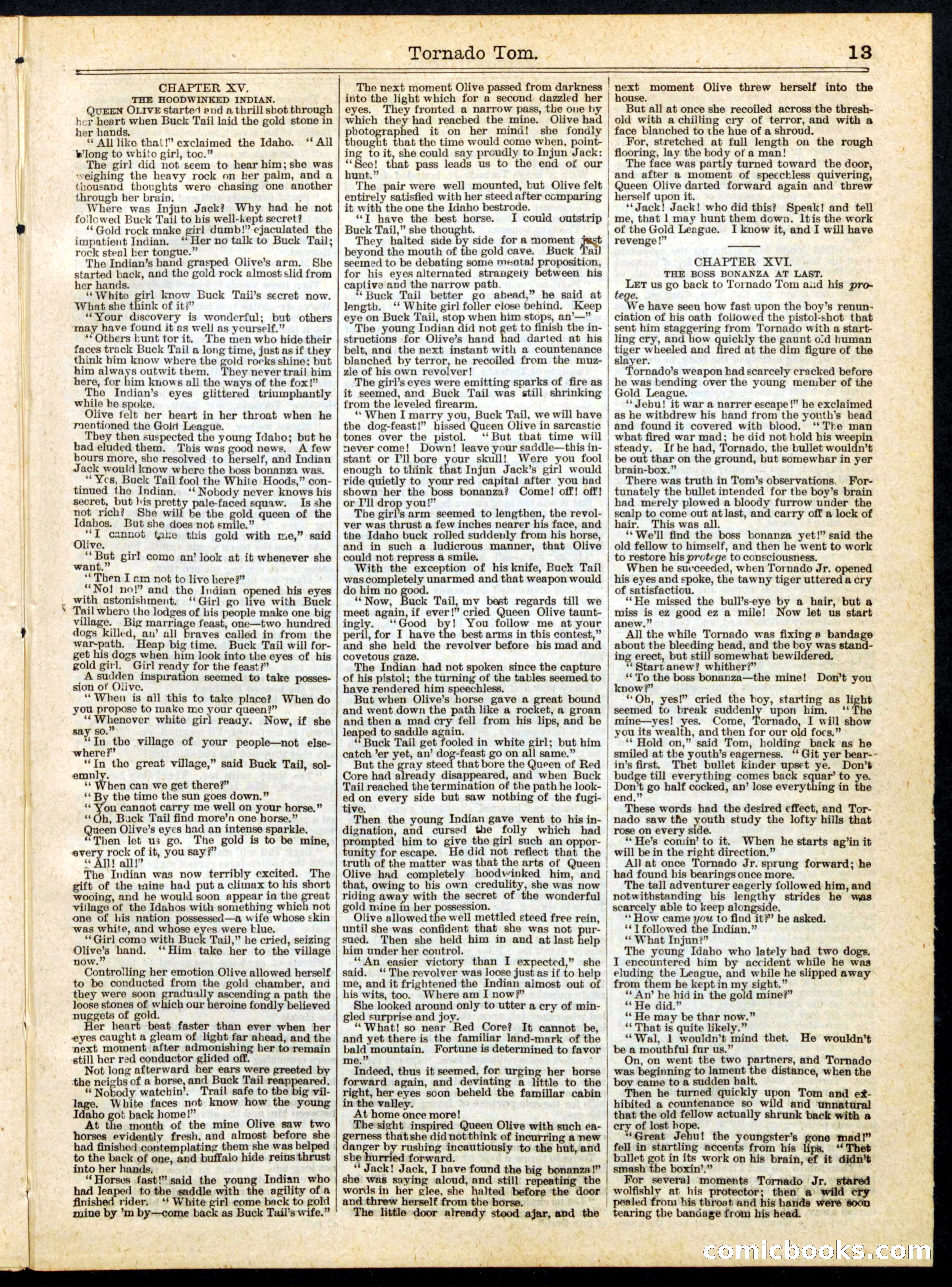 Beadle's Half Dime Library, No. 169 — page 13 of 16