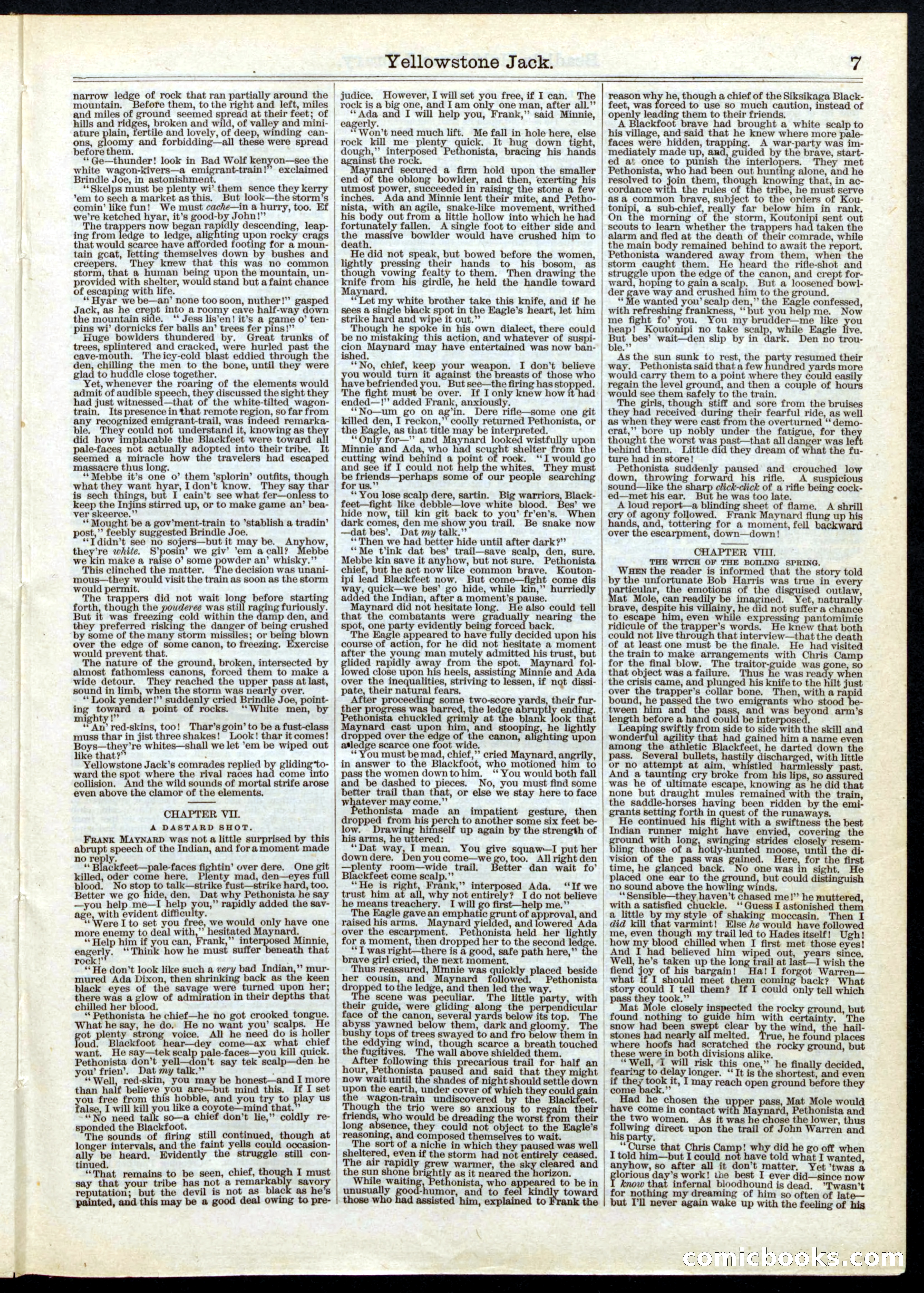 Beadle's Half Dime Library, Vol. 1, No. 2 — page 7 of 16