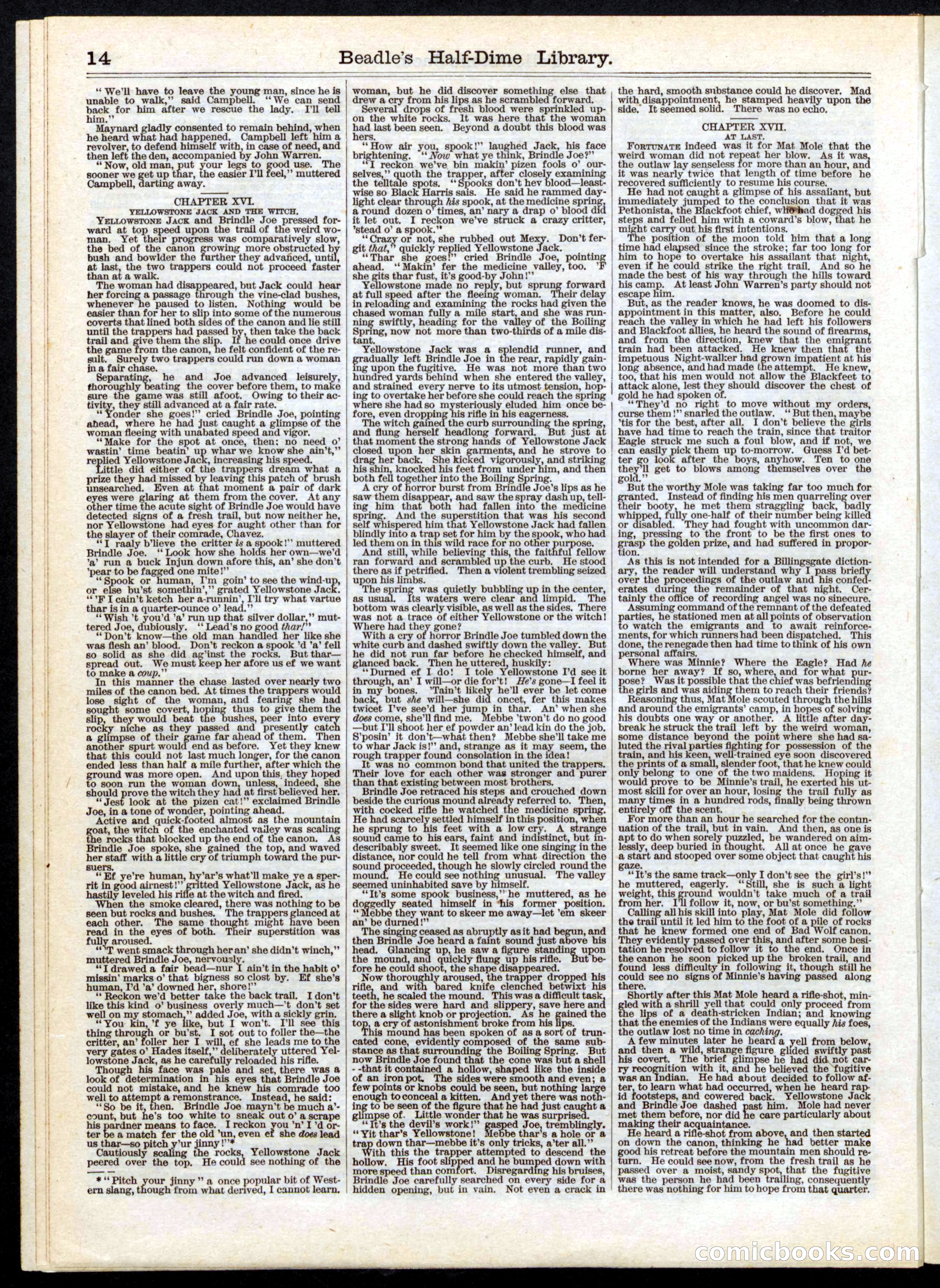 Beadle's Half Dime Library, Vol. 1, No. 2 — page 14 of 16
