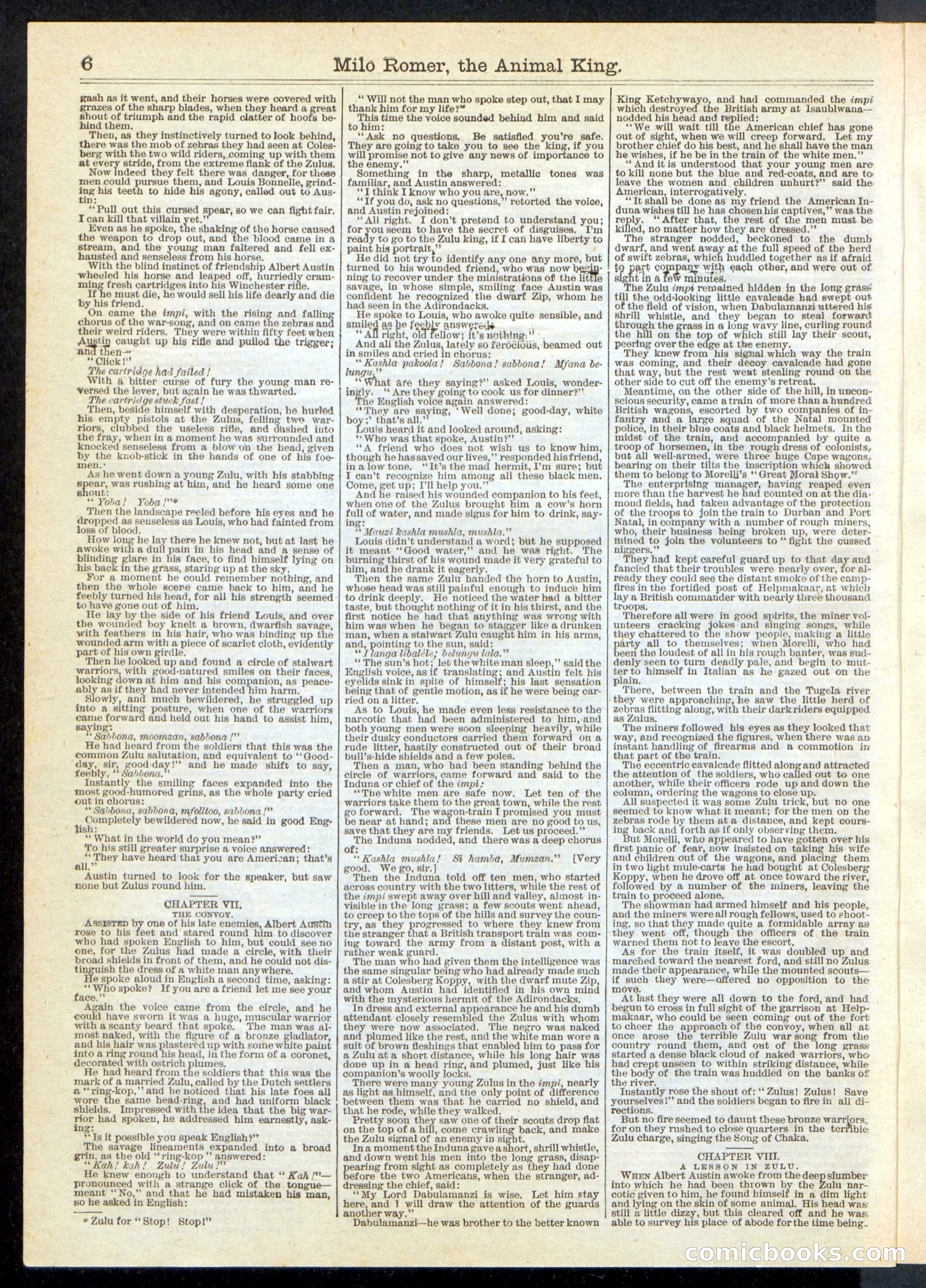 Beadle's Half Dime Library, No. 249 — page 6 of 24