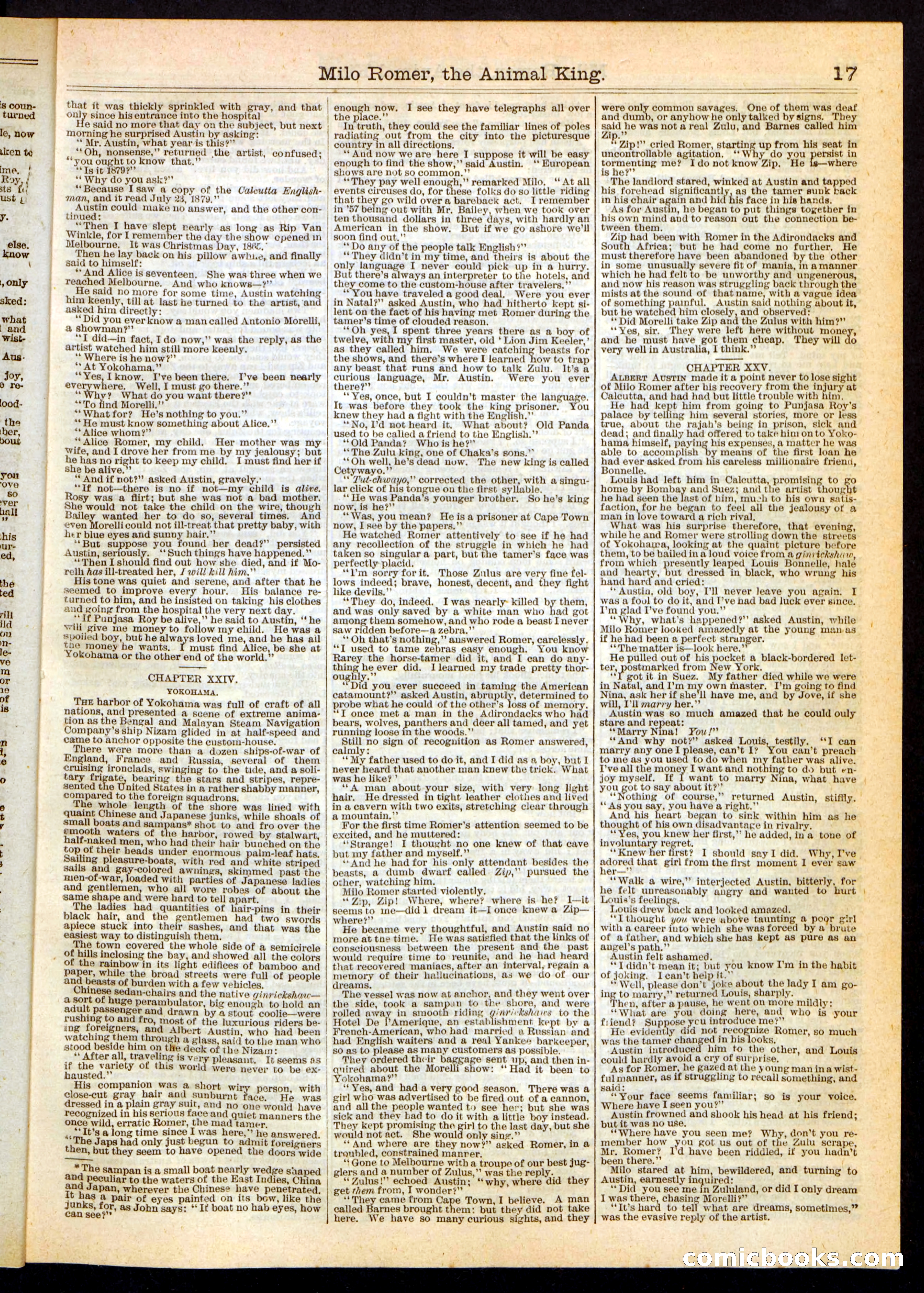 Beadle's Half Dime Library, No. 249 — page 17 of 24