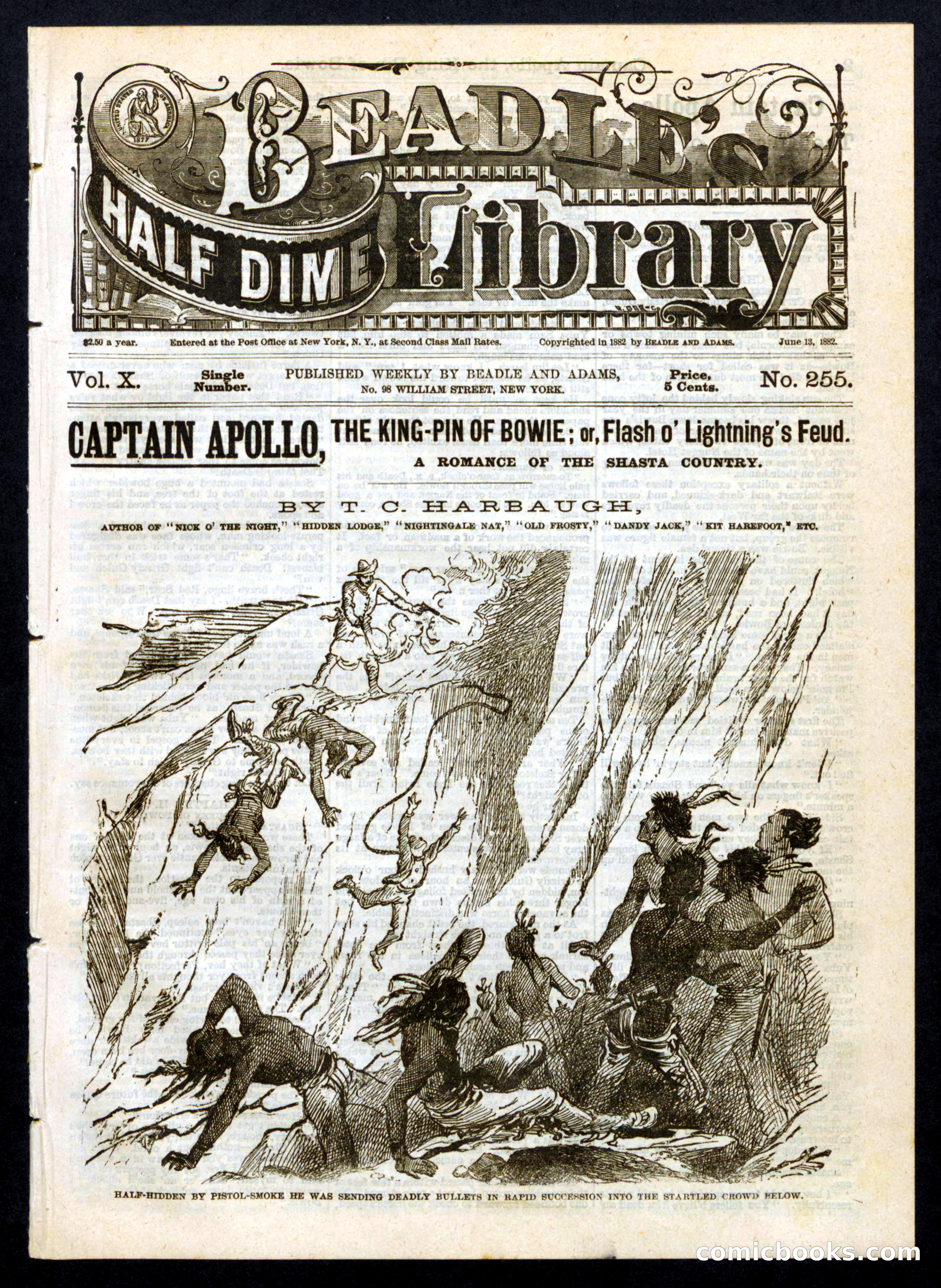 Beadle's Half Dime Library No. 255 — page 1 of 16