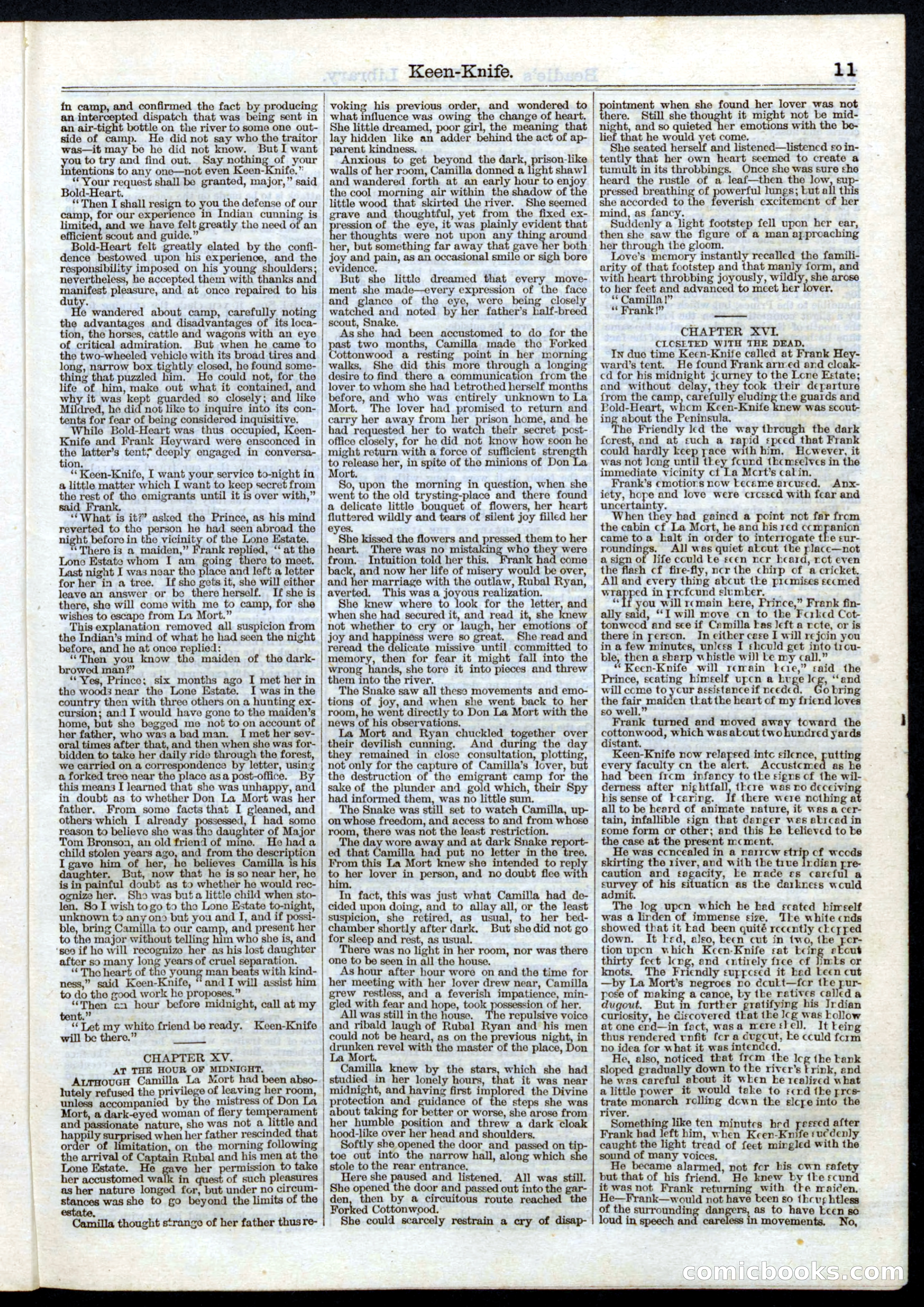 Beadle's Half Dime Library No. 31 — page 11 of 16