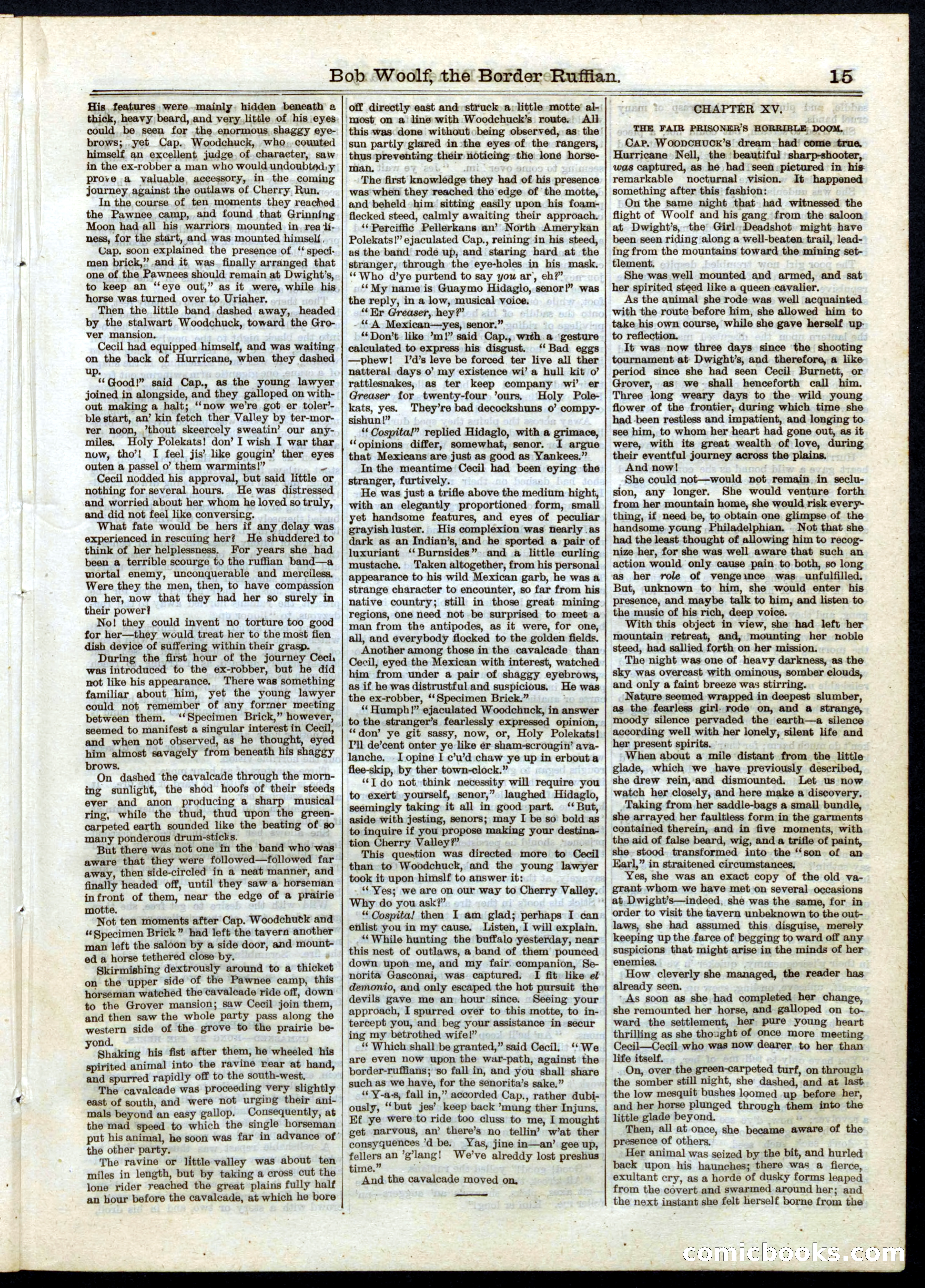 Beadle's Half Dime Library No. 32 — page 15 of 20