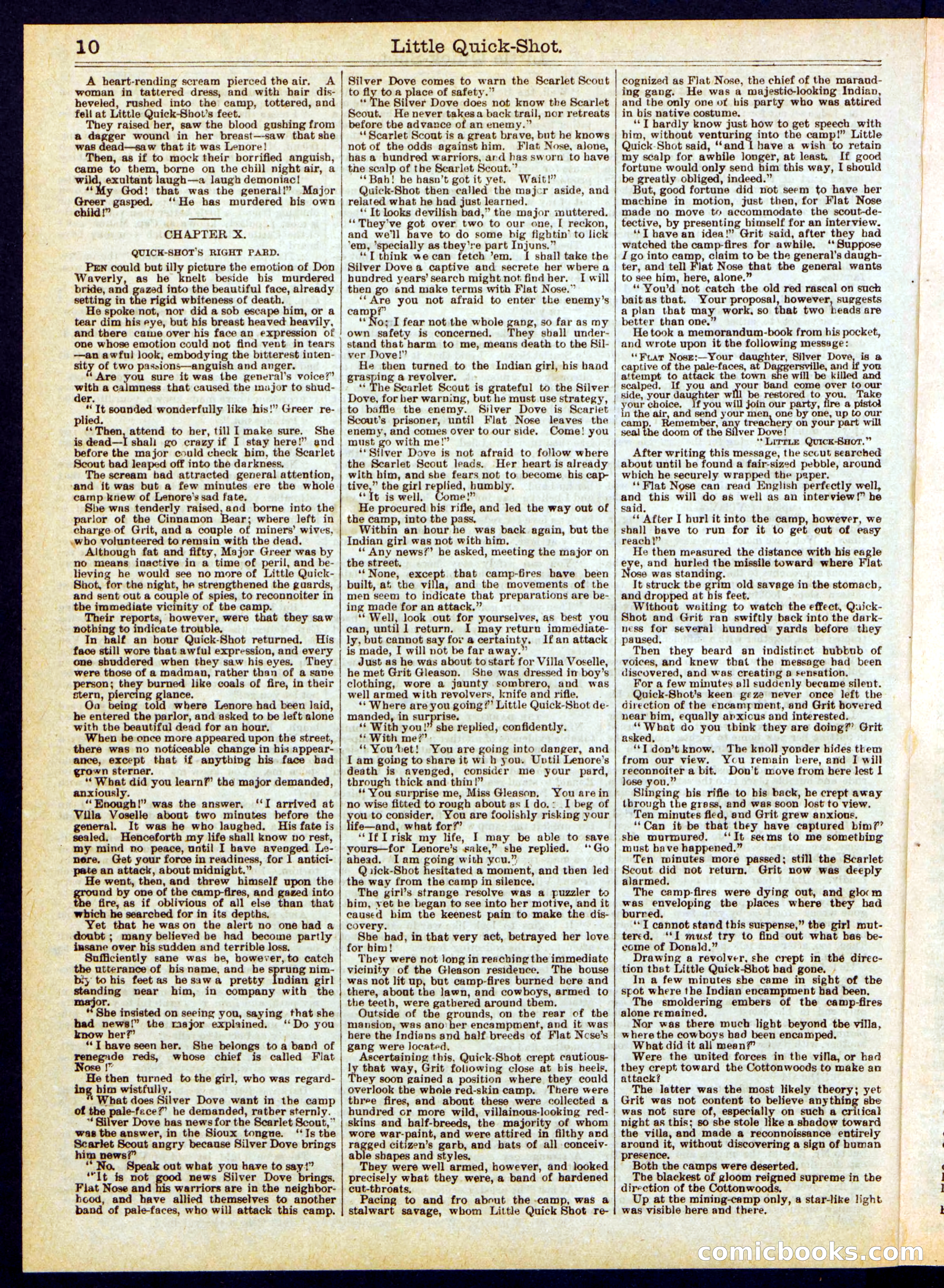 Beadle's Half Dime Library No. 330 — page 10 of 16