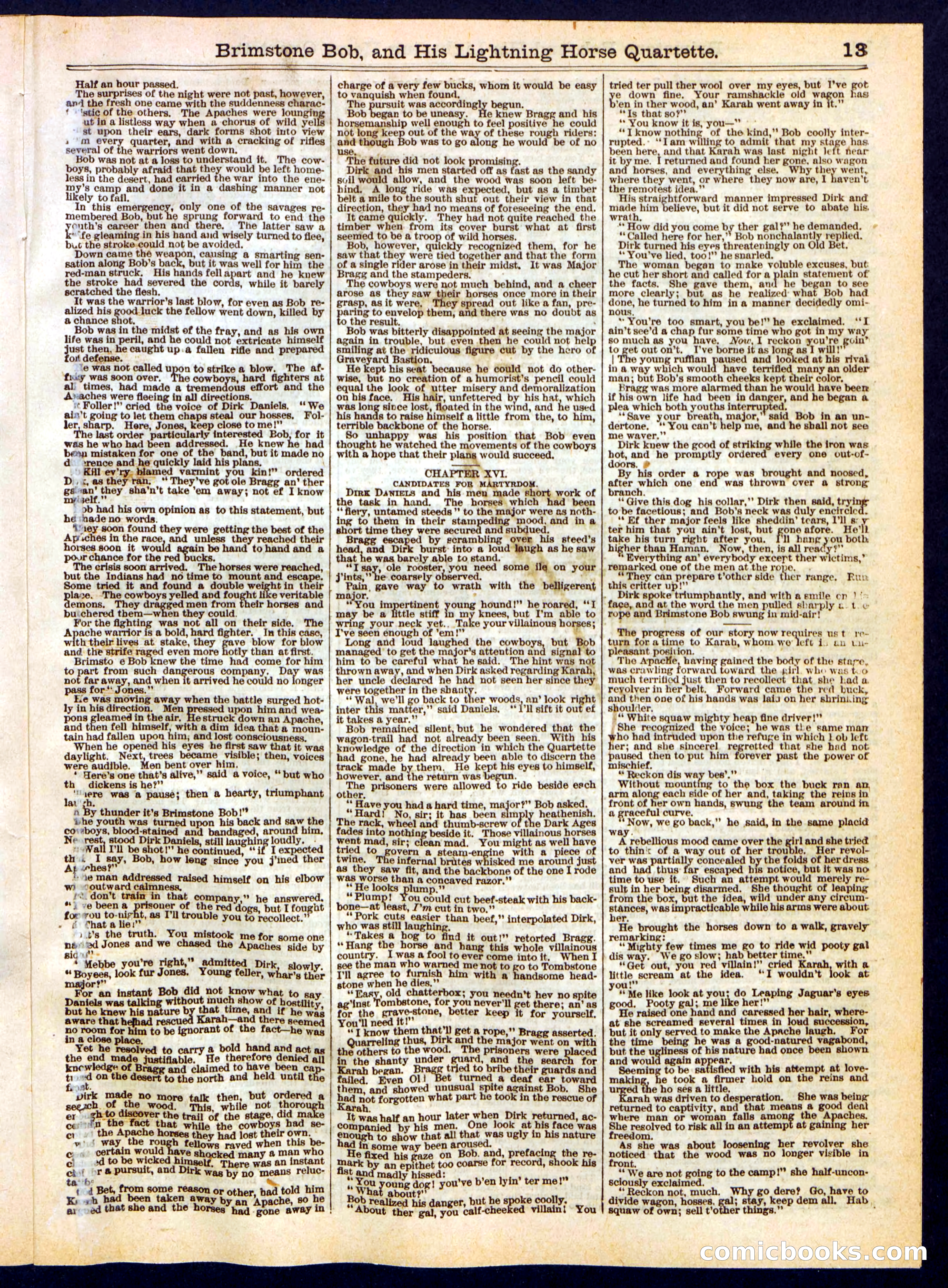 Beadle's Half Dime Library No. 333 — page 13 of 16