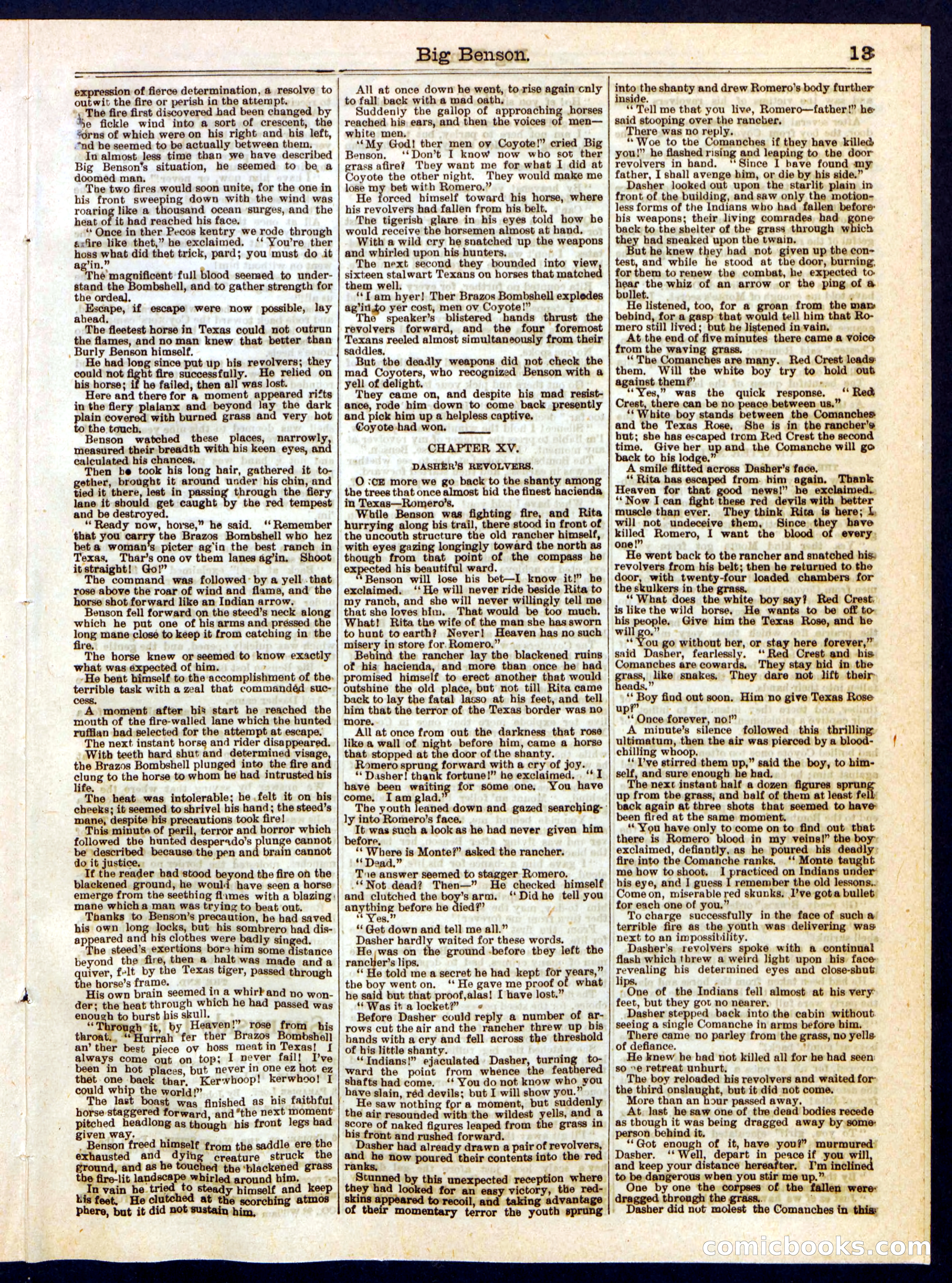 Beadle's Half Dime Library No. 386 — page 13 of 16