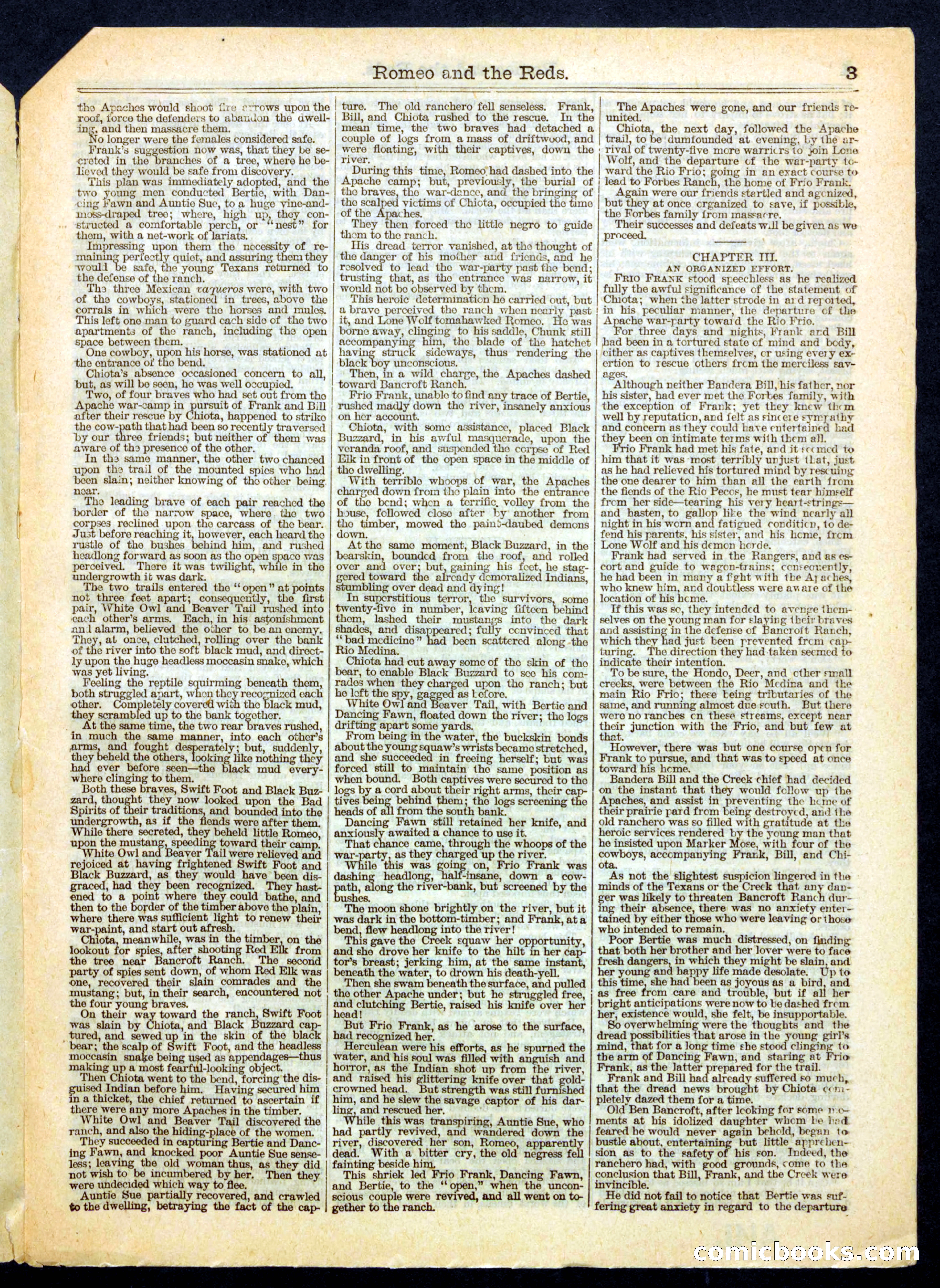 Beadle's Half Dime Library No. 392 — page 3 of 16
