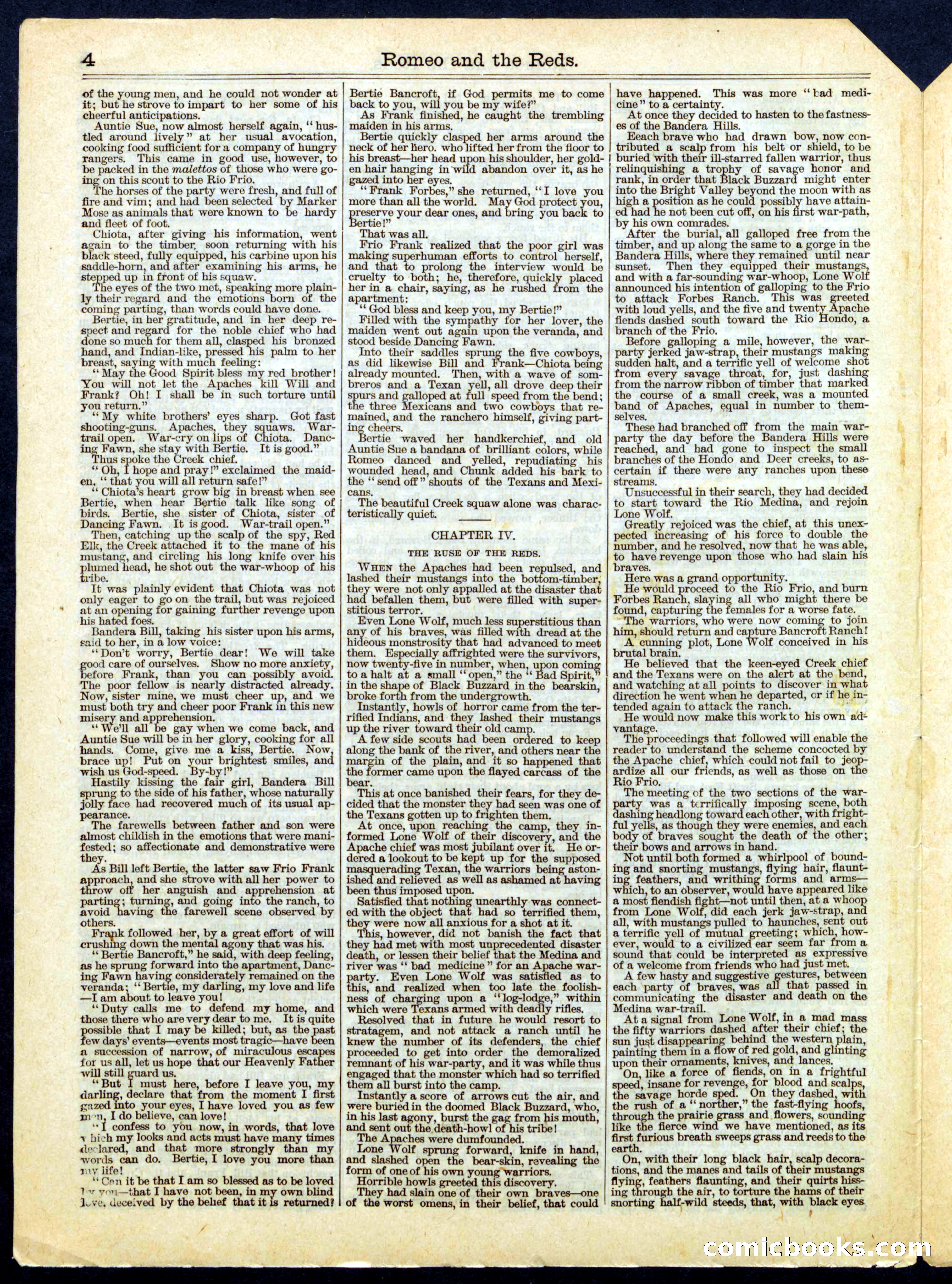 Beadle's Half Dime Library No. 392 — page 4 of 16