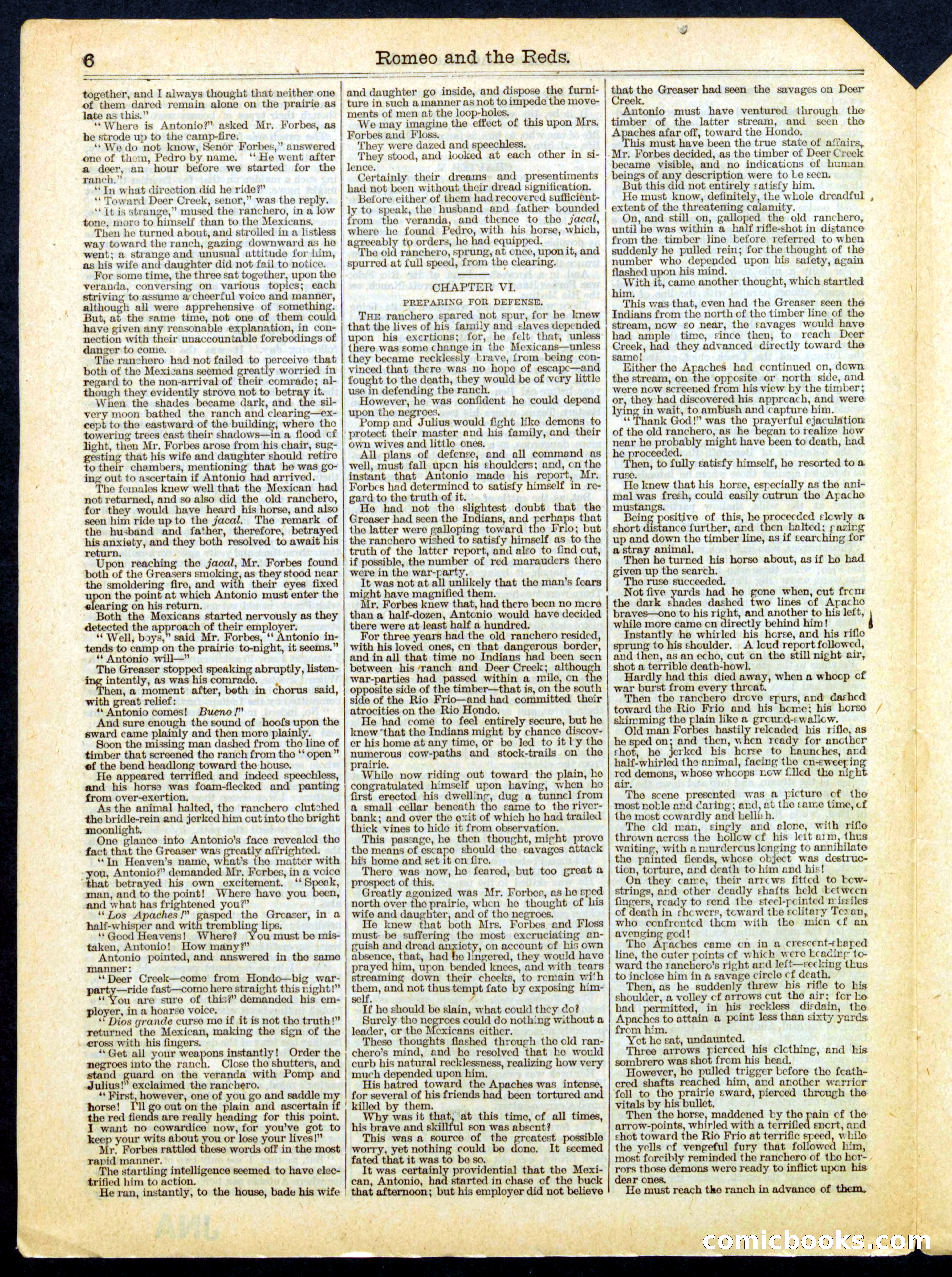 Beadle's Half Dime Library No. 392 — page 6 of 16