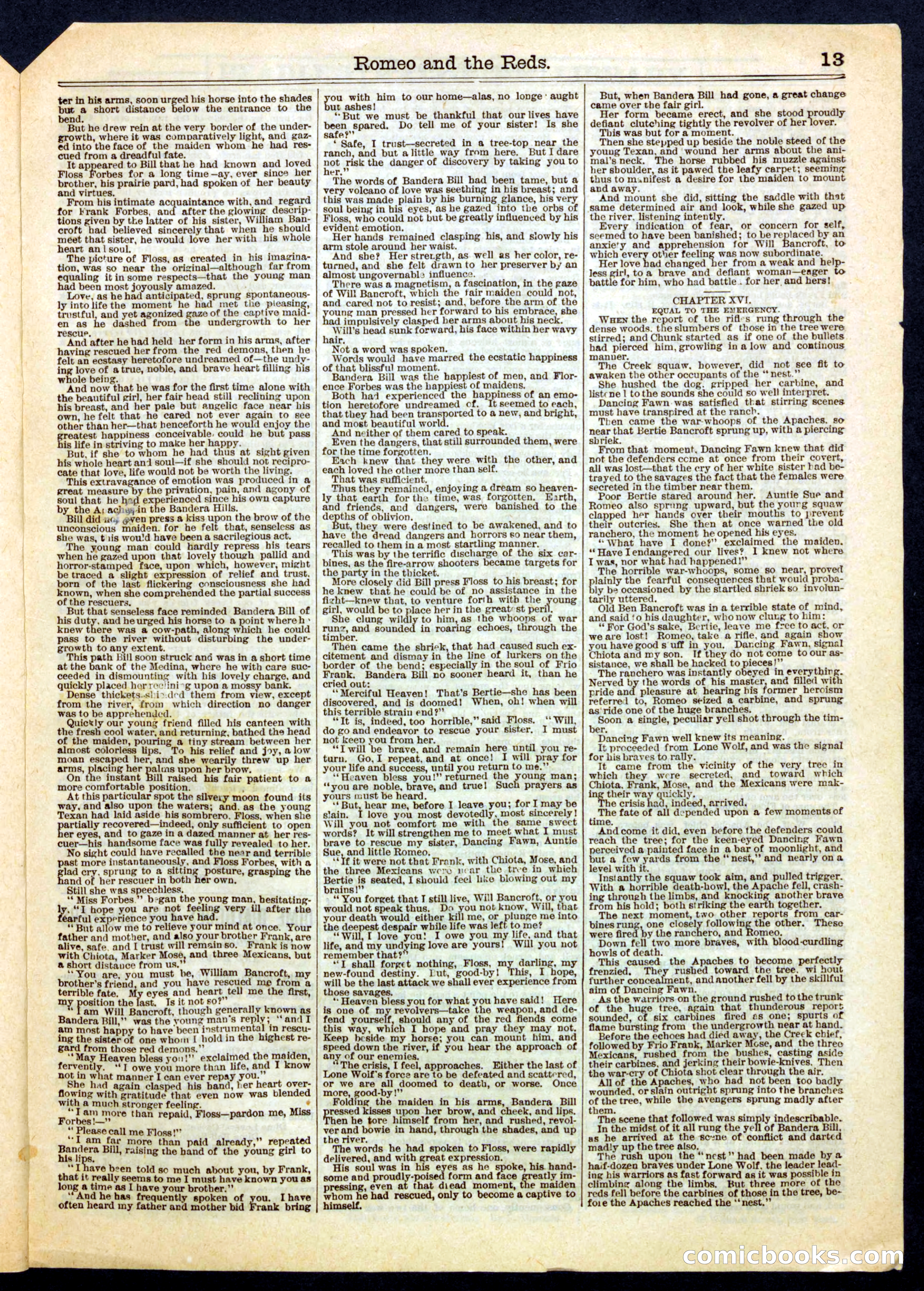 Beadle's Half Dime Library No. 392 — page 13 of 16