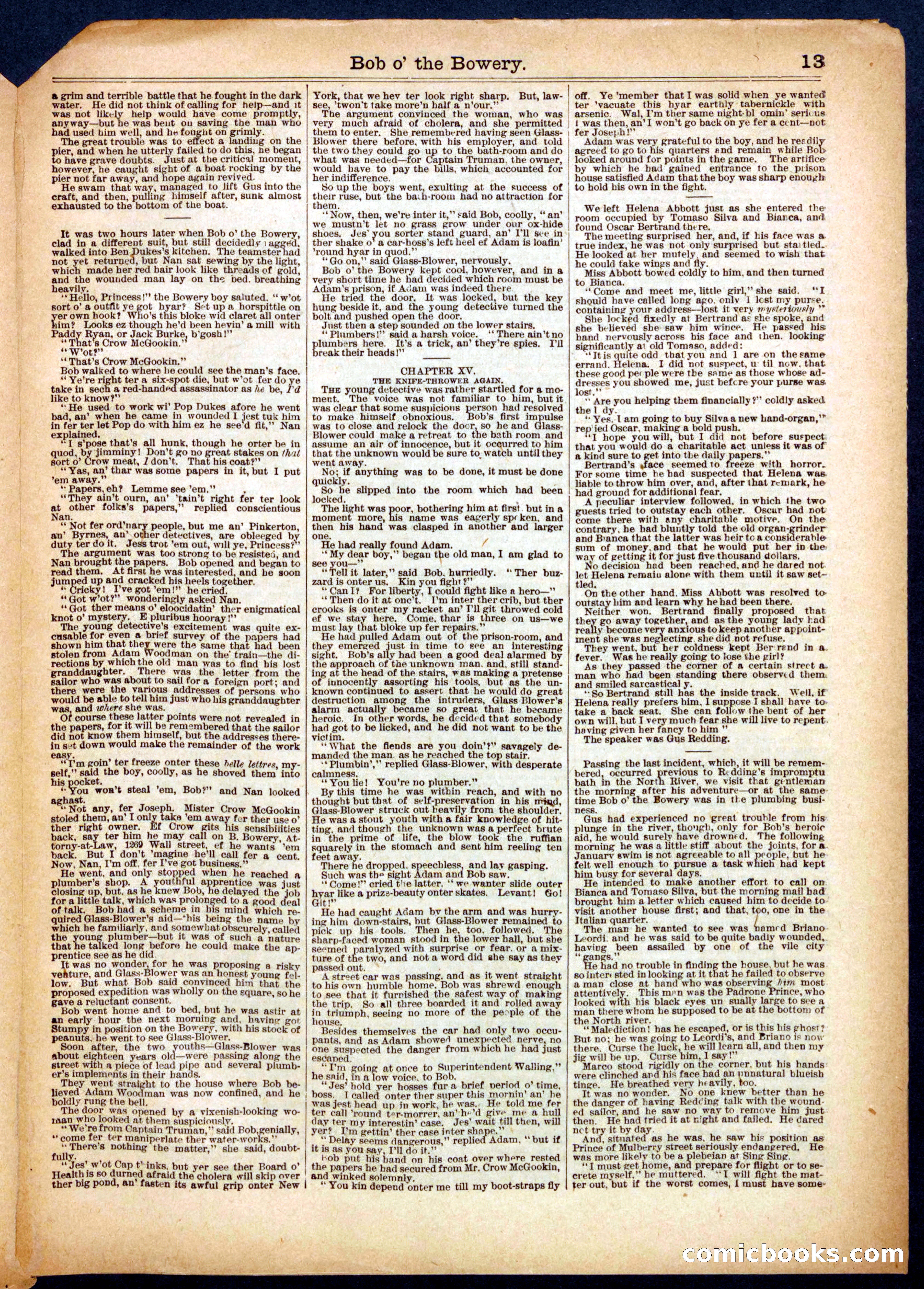 Beadle's Half Dime Library No. 397 — page 13 of 16
