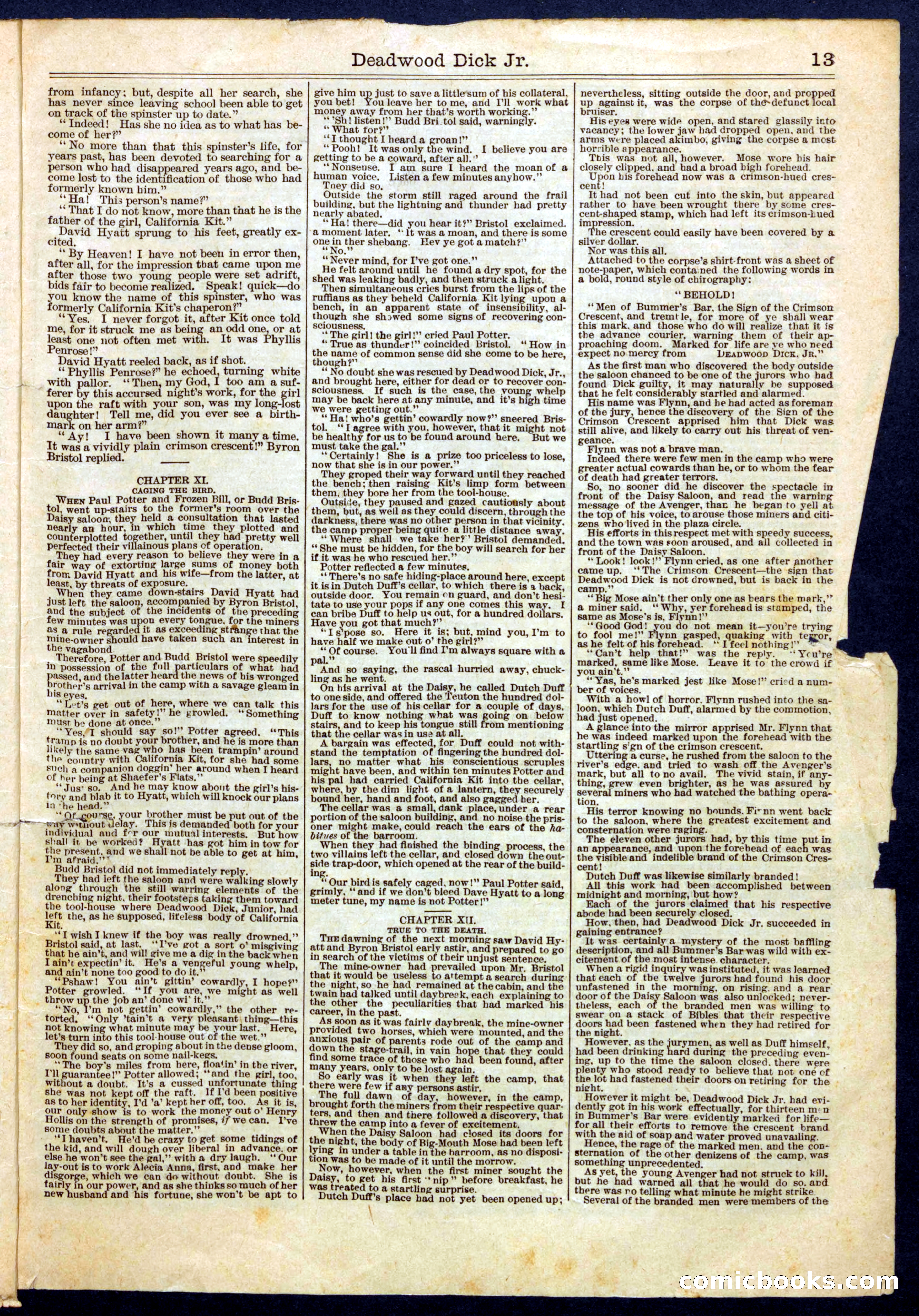 Beadle's Half Dime Library No. 443 — page 13 of 16
