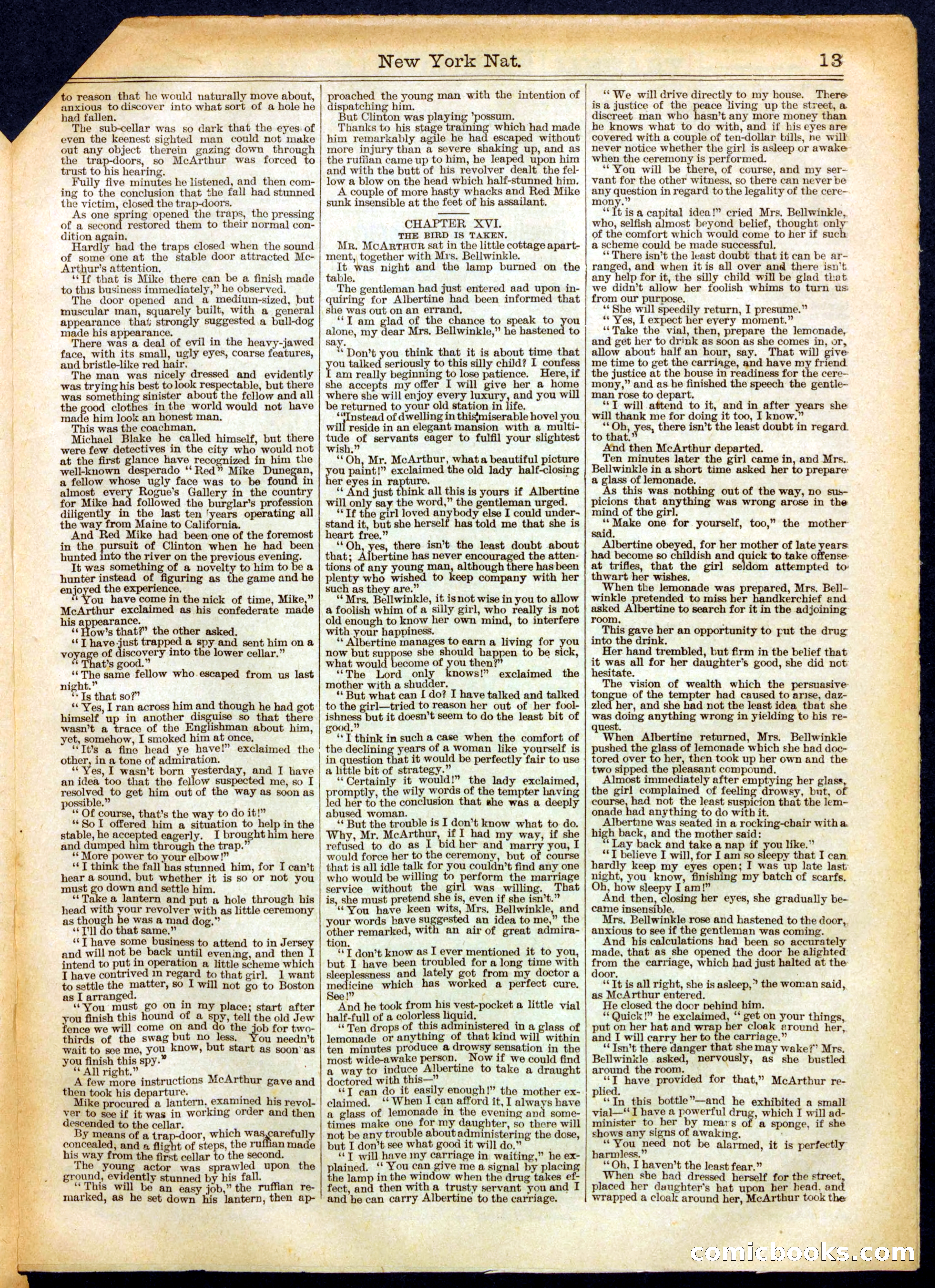 Beadle's Half Dime Library No. 447 — page 13 of 16