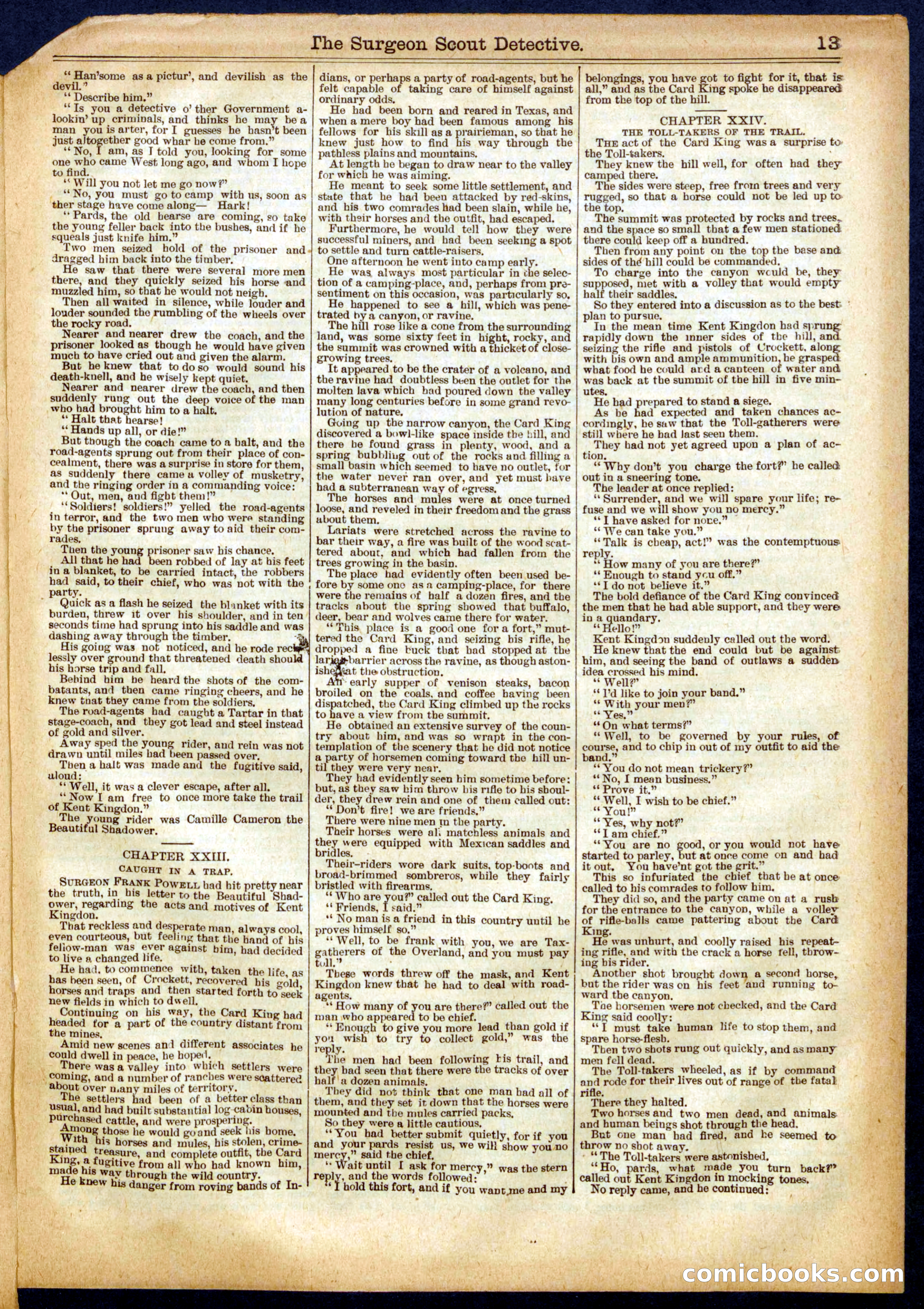 Beadle's Half Dime Library No. 575 — page 13 of 16