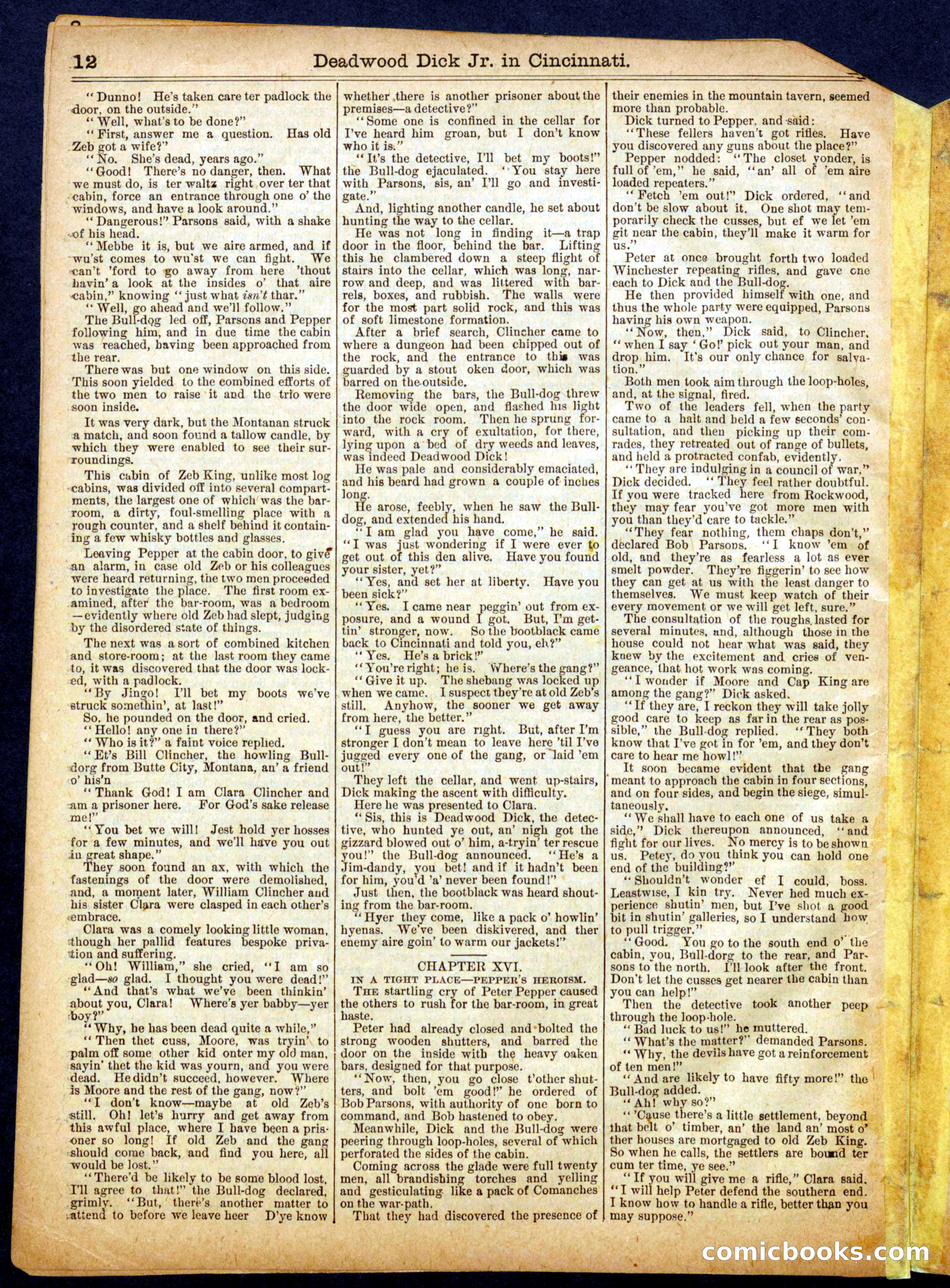 Beadle's Half Dime Library No. 618 — page 12 of 16