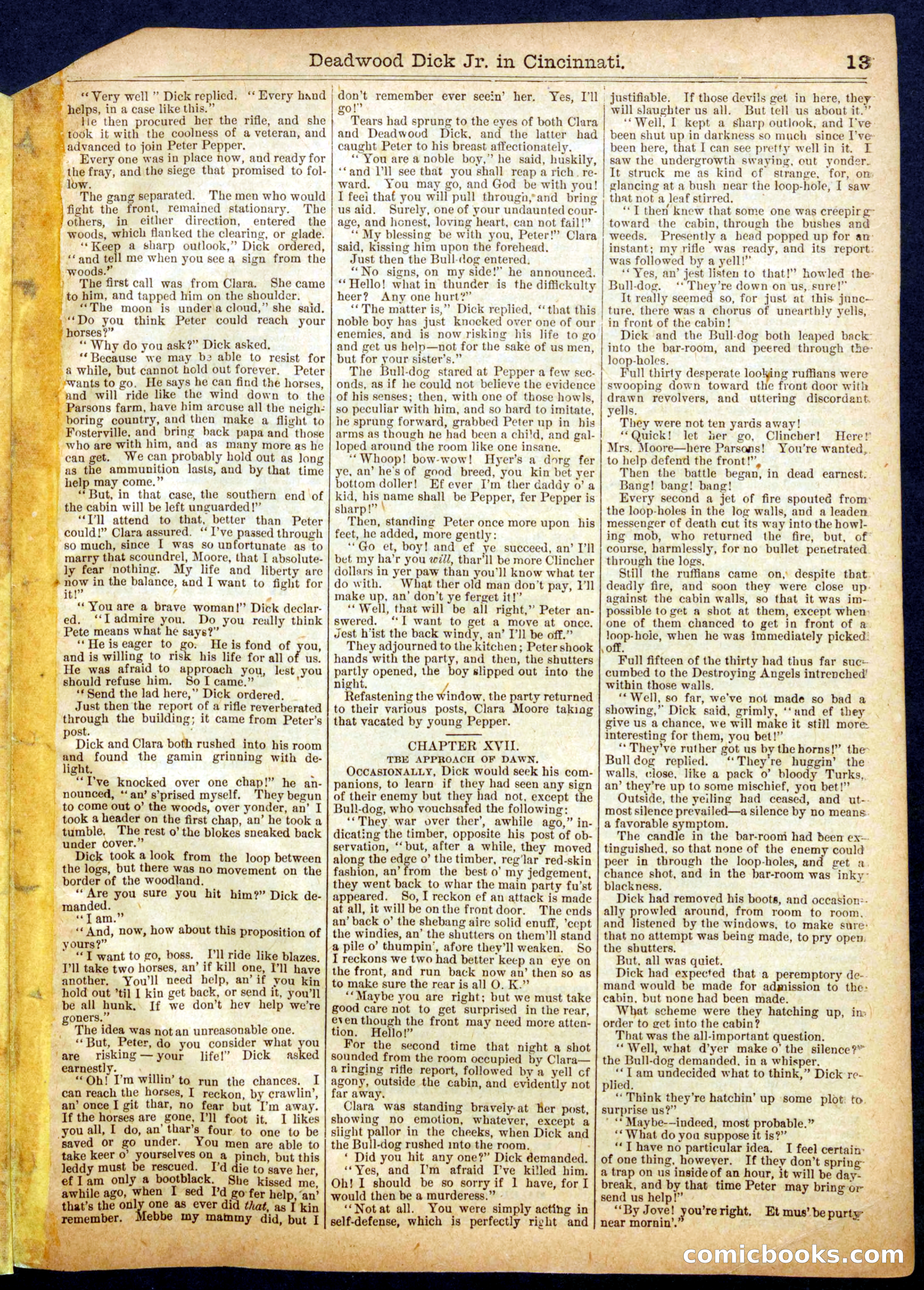 Beadle's Half Dime Library No. 618 — page 13 of 16