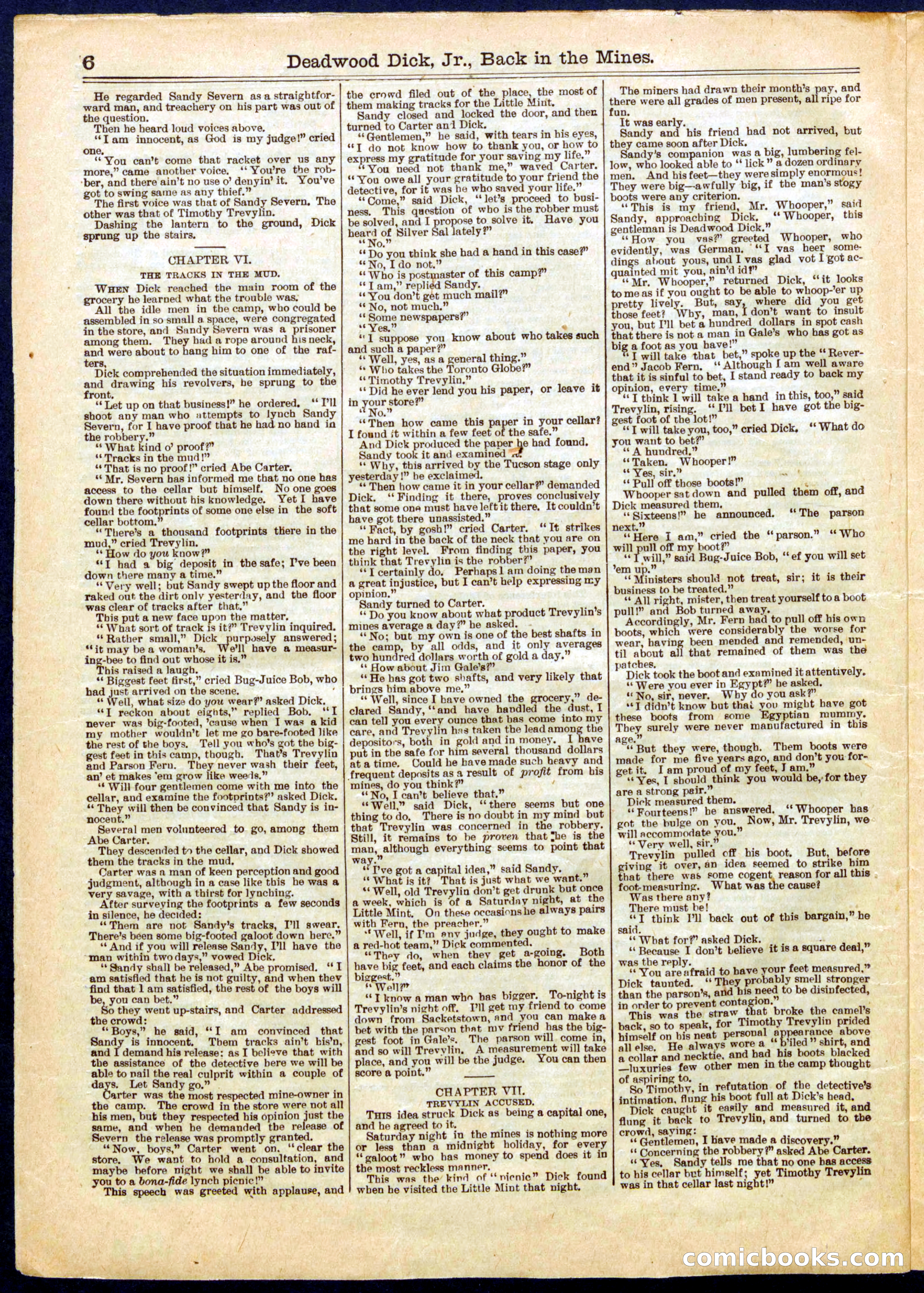 Beadle's Half Dime Library No. 666 — page 6 of 16