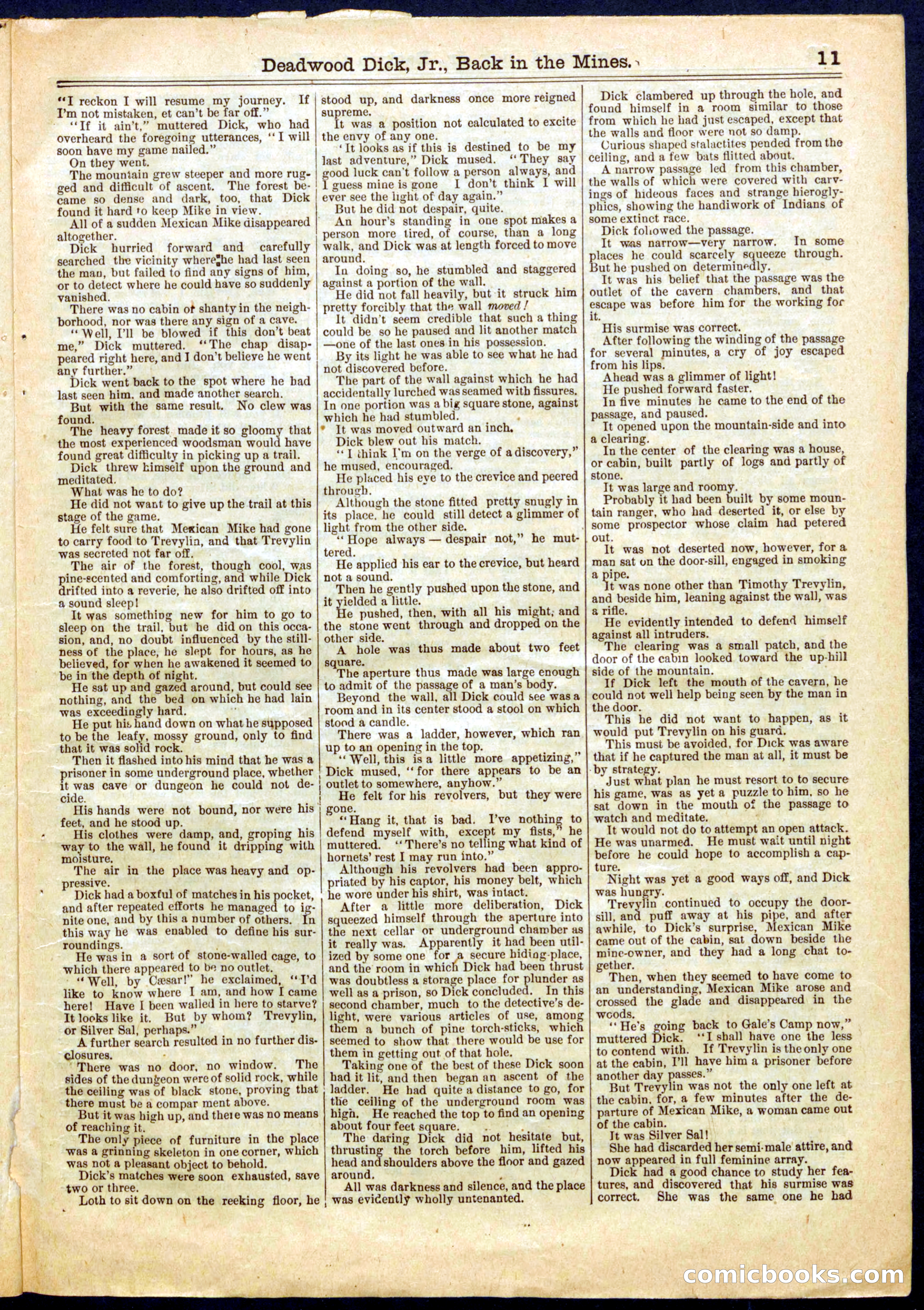 Beadle's Half Dime Library No. 666 — page 11 of 16