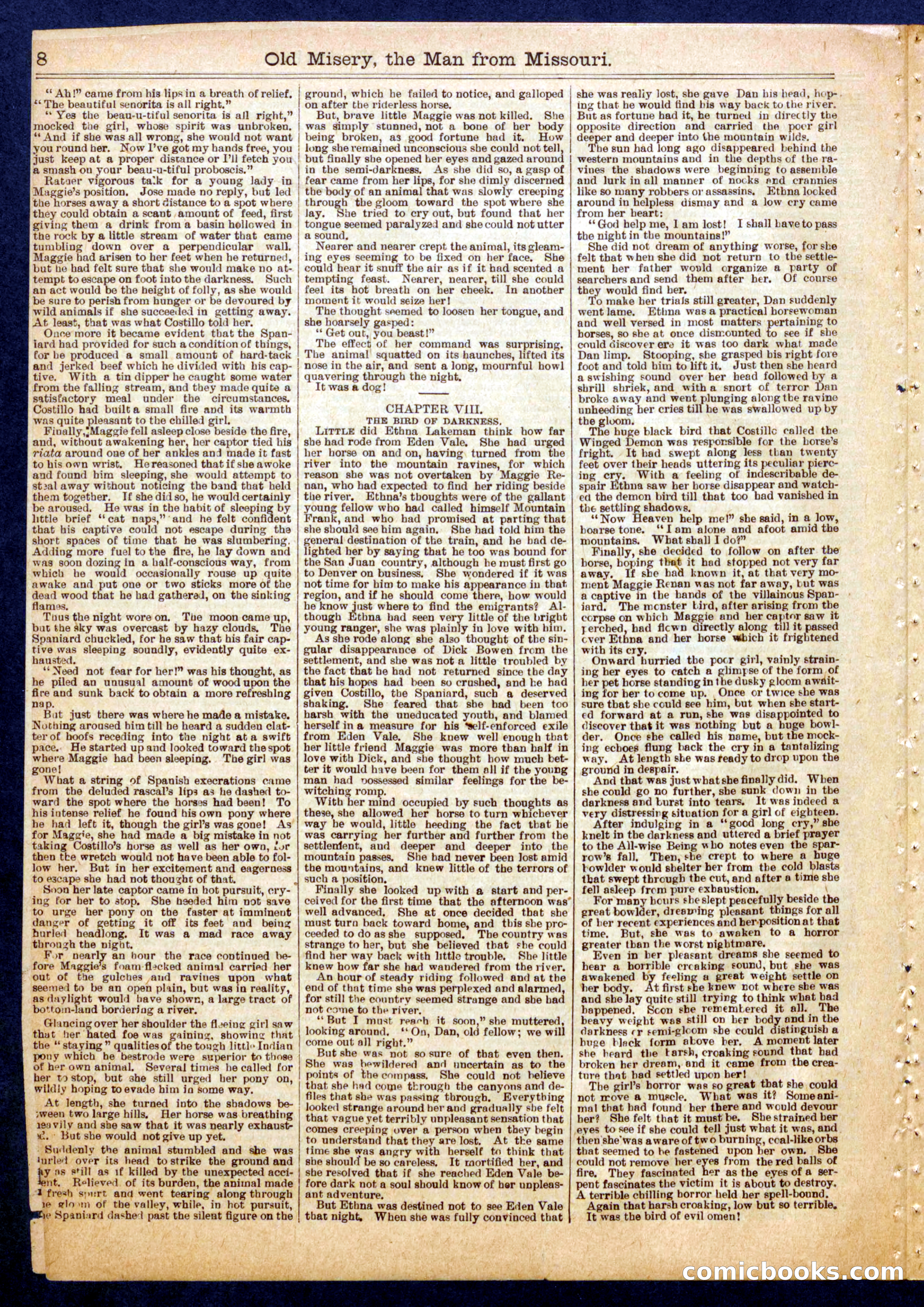Beadle's Half Dime Library No. 714 — page 8 of 16