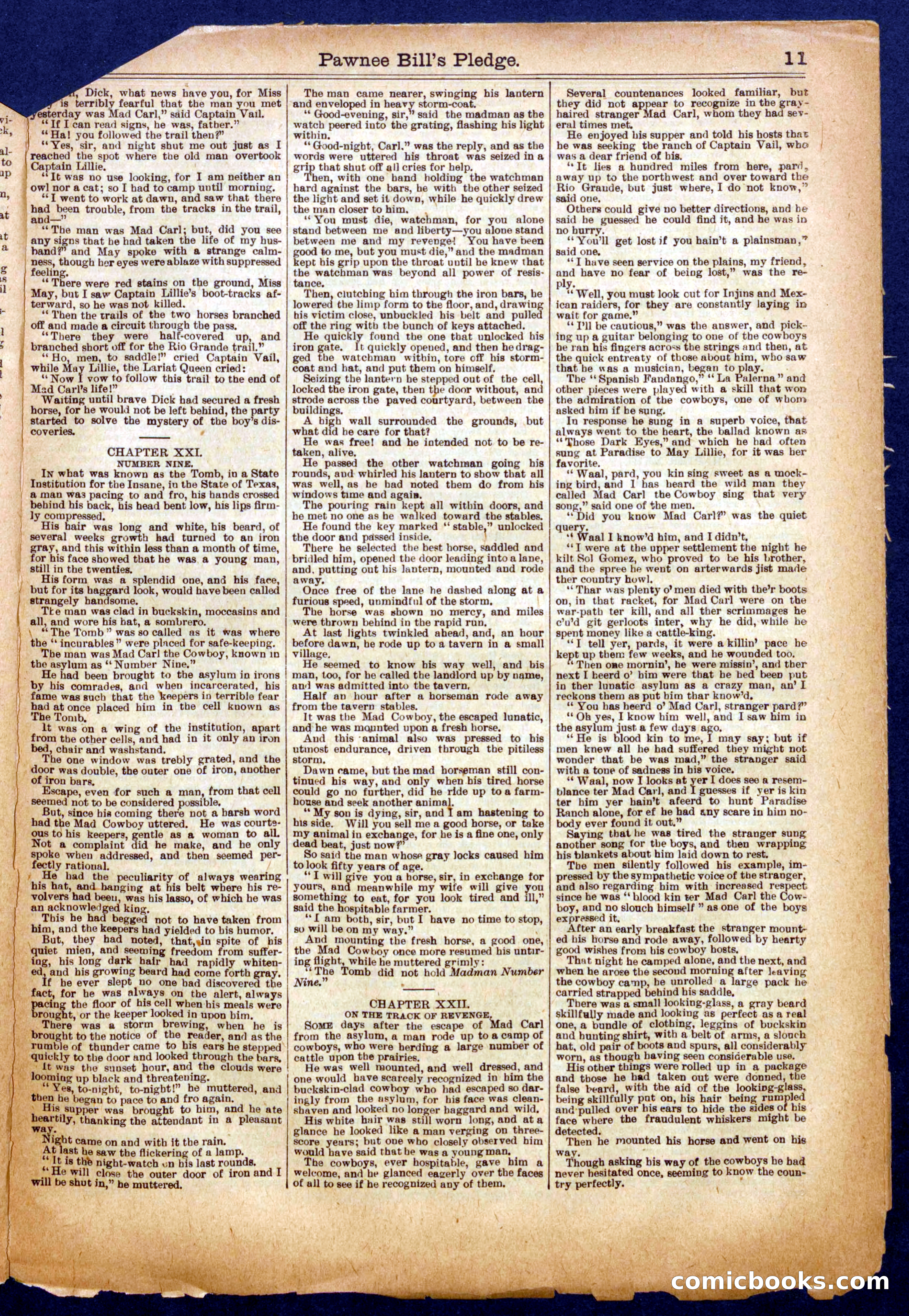Beadle's Half Dime Library No. 719 — page 11 of 16