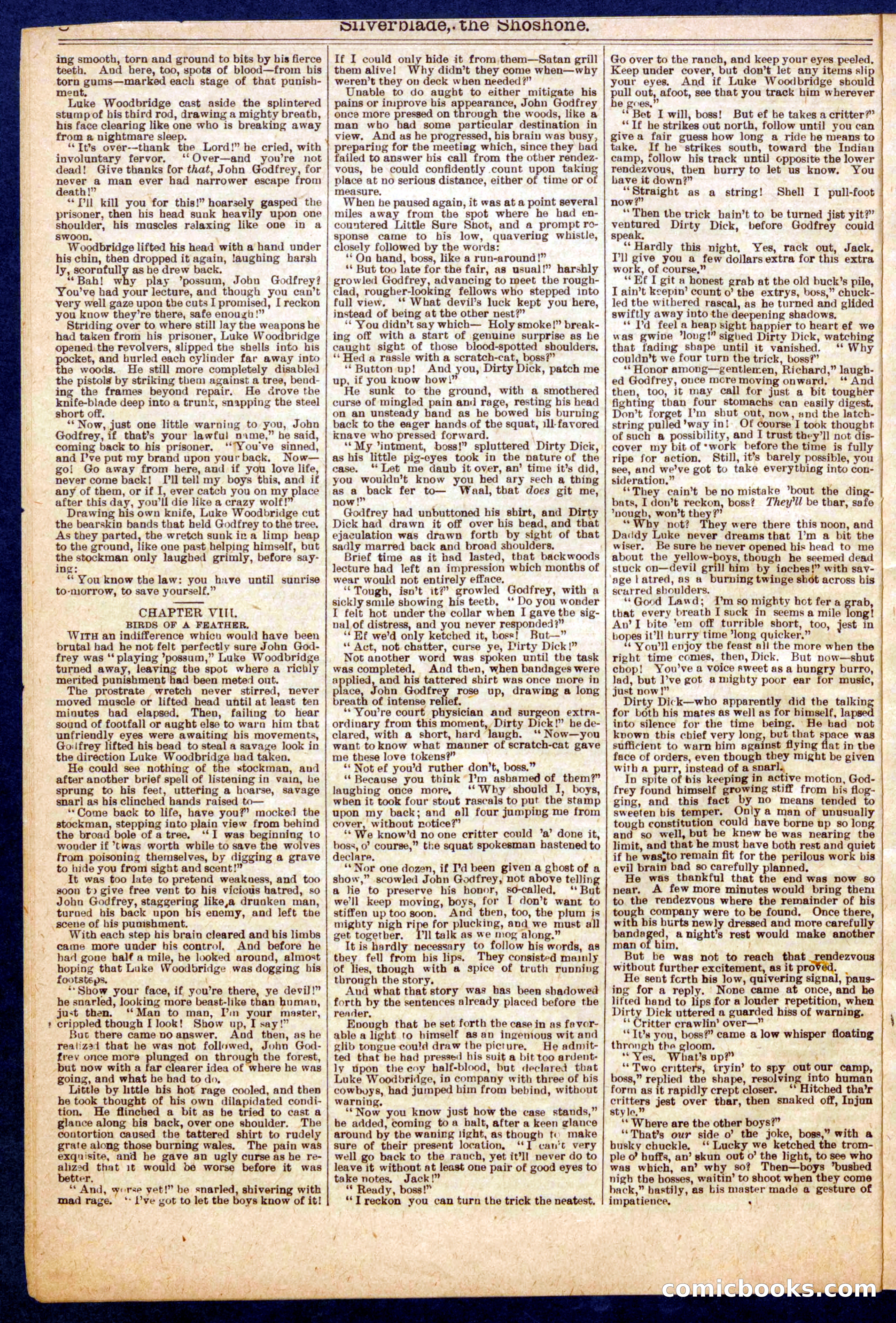 Beadle's Half Dime Library No. 723 — page 8 of 16
