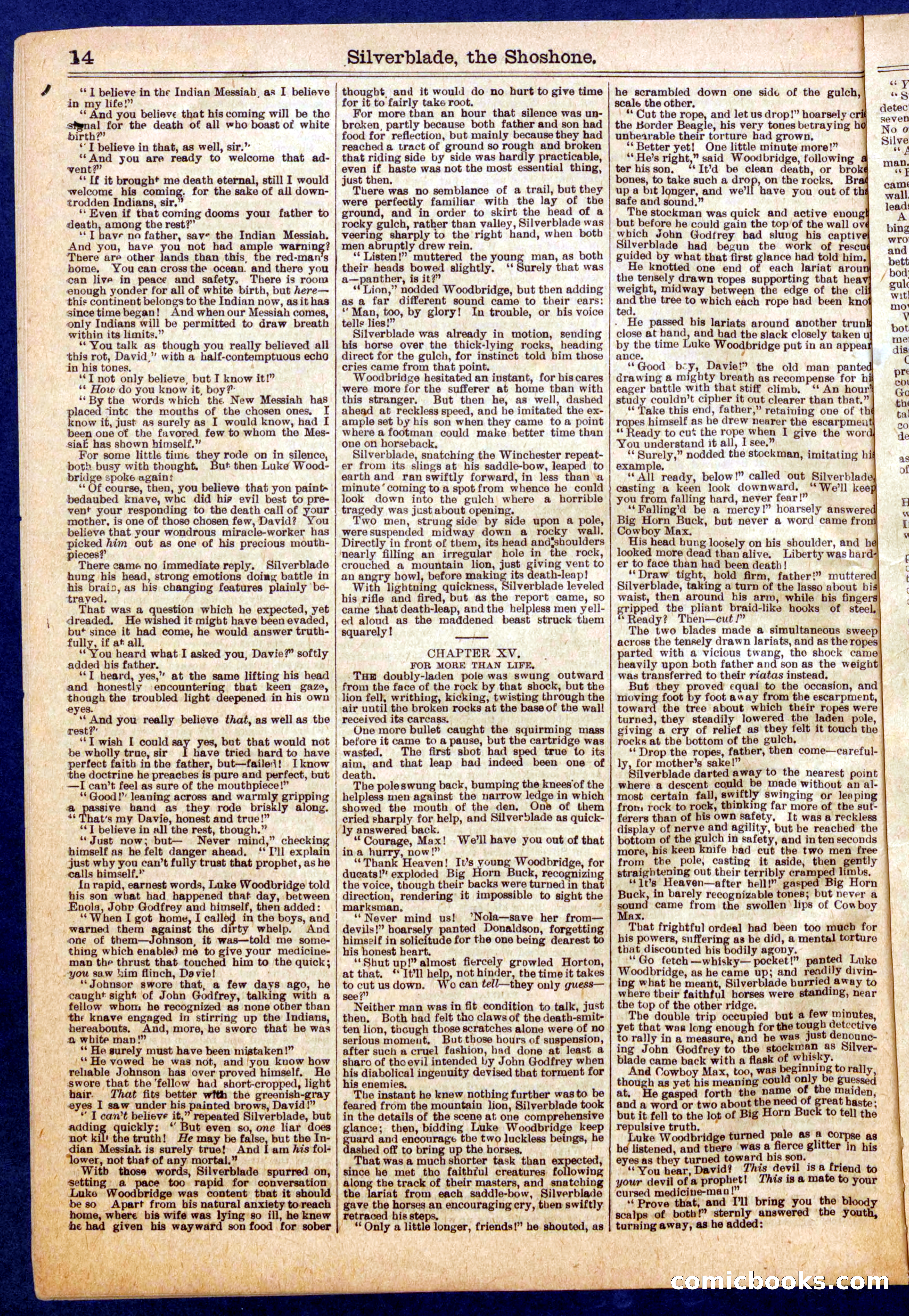 Beadle's Half Dime Library No. 723 — page 14 of 16