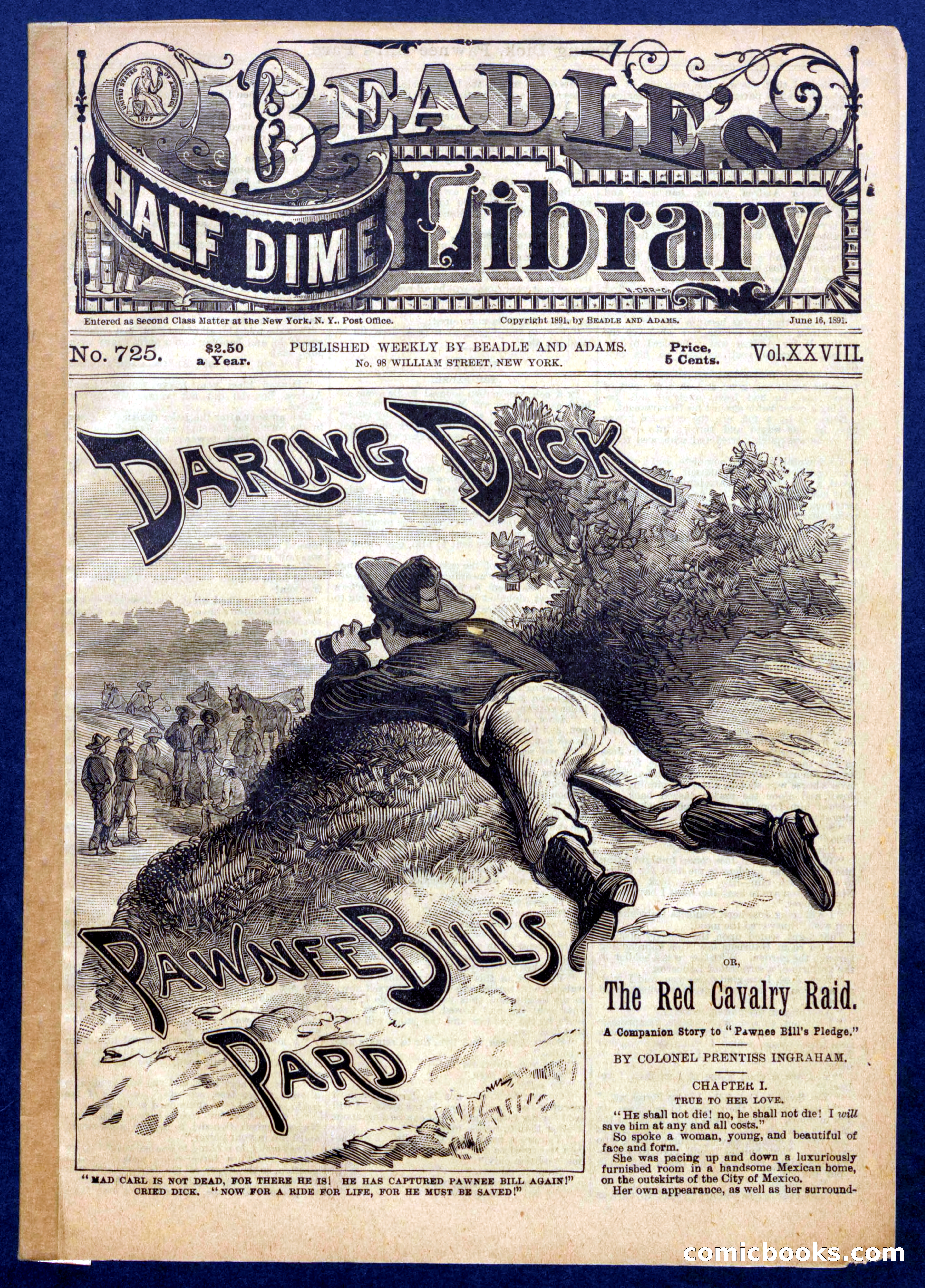 Beadle's Half Dime Library No. 725 — page 1 of 16