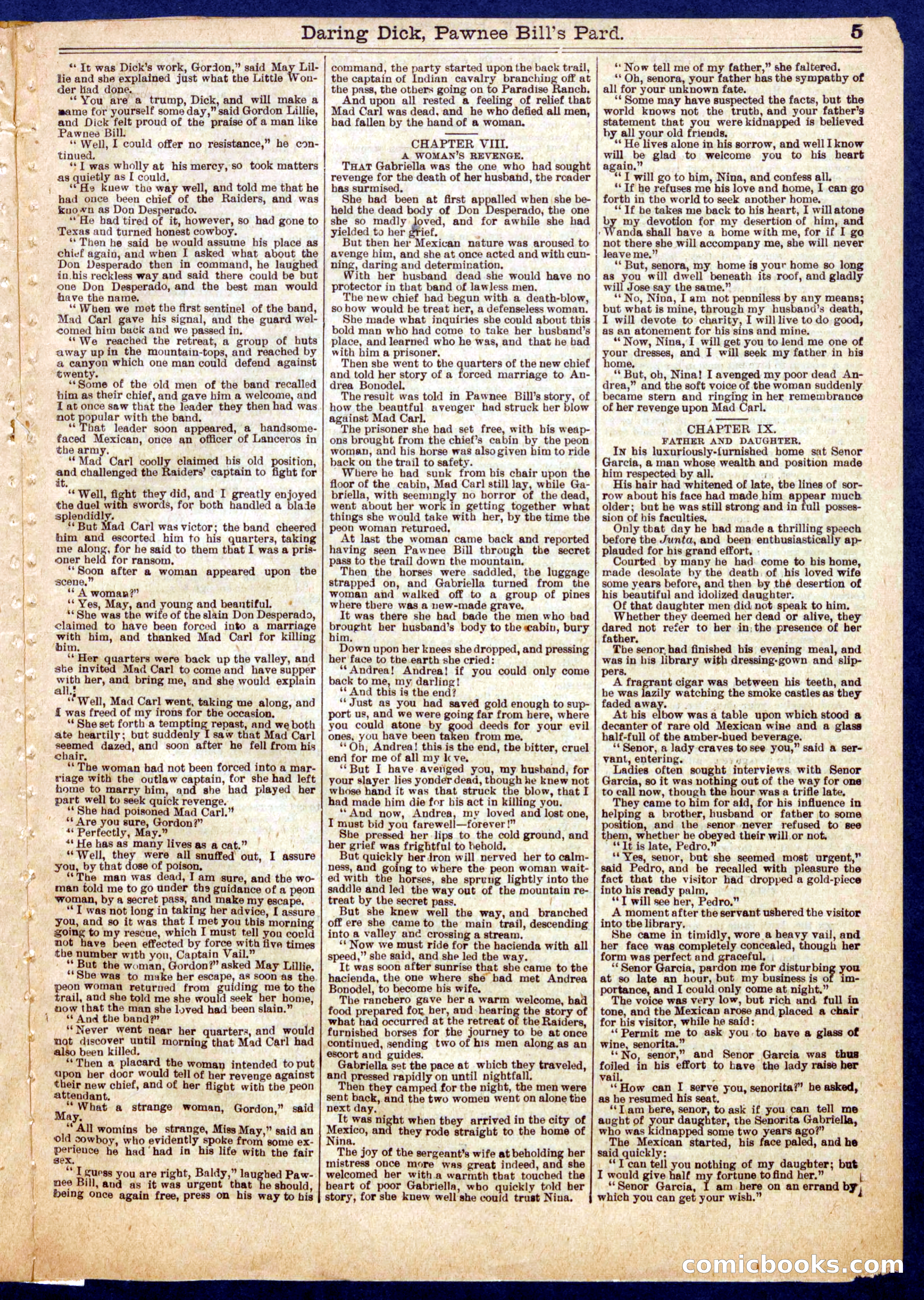 Beadle's Half Dime Library No. 725 — page 5 of 16