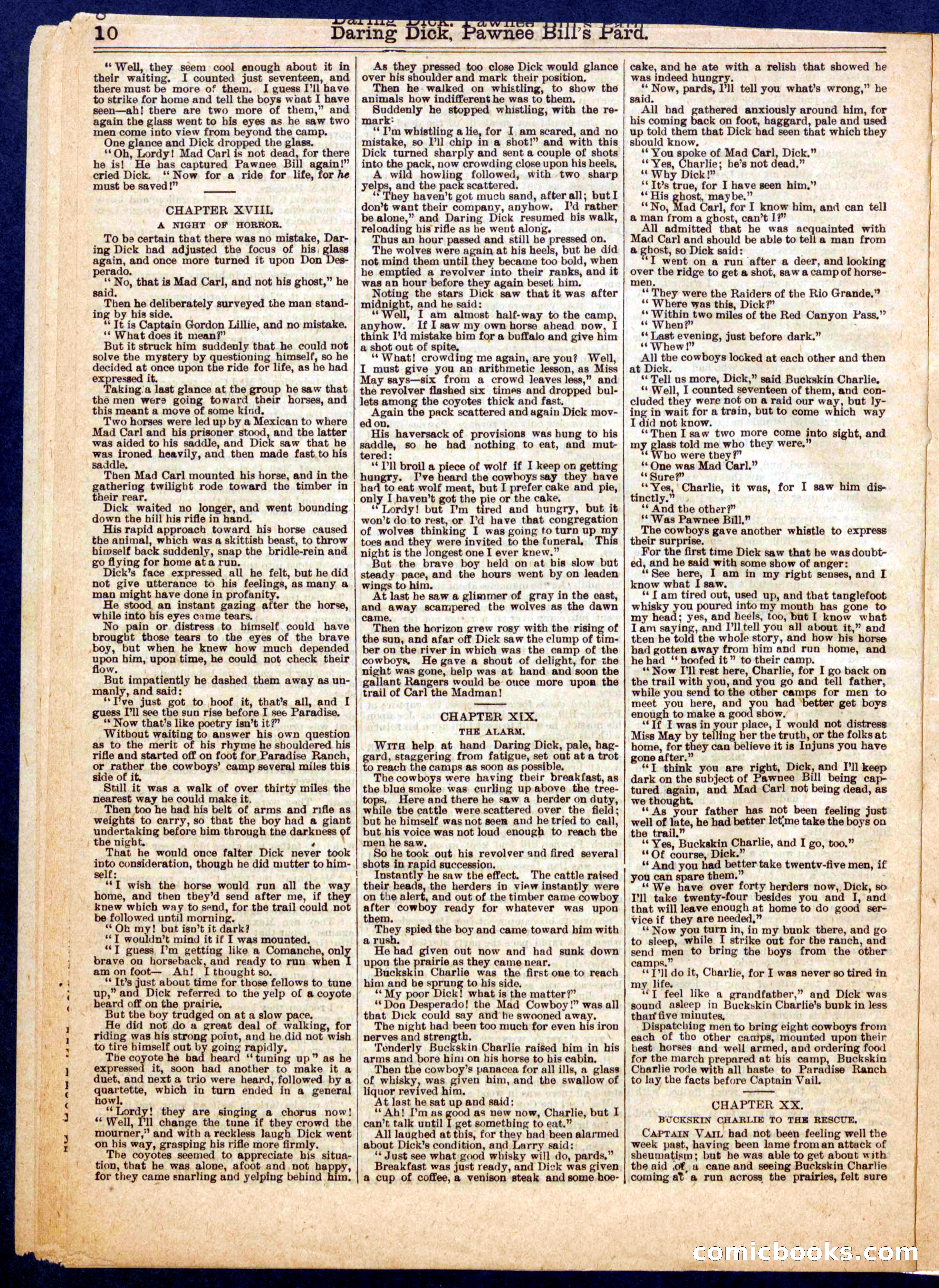 Beadle's Half Dime Library No. 725 — page 10 of 16
