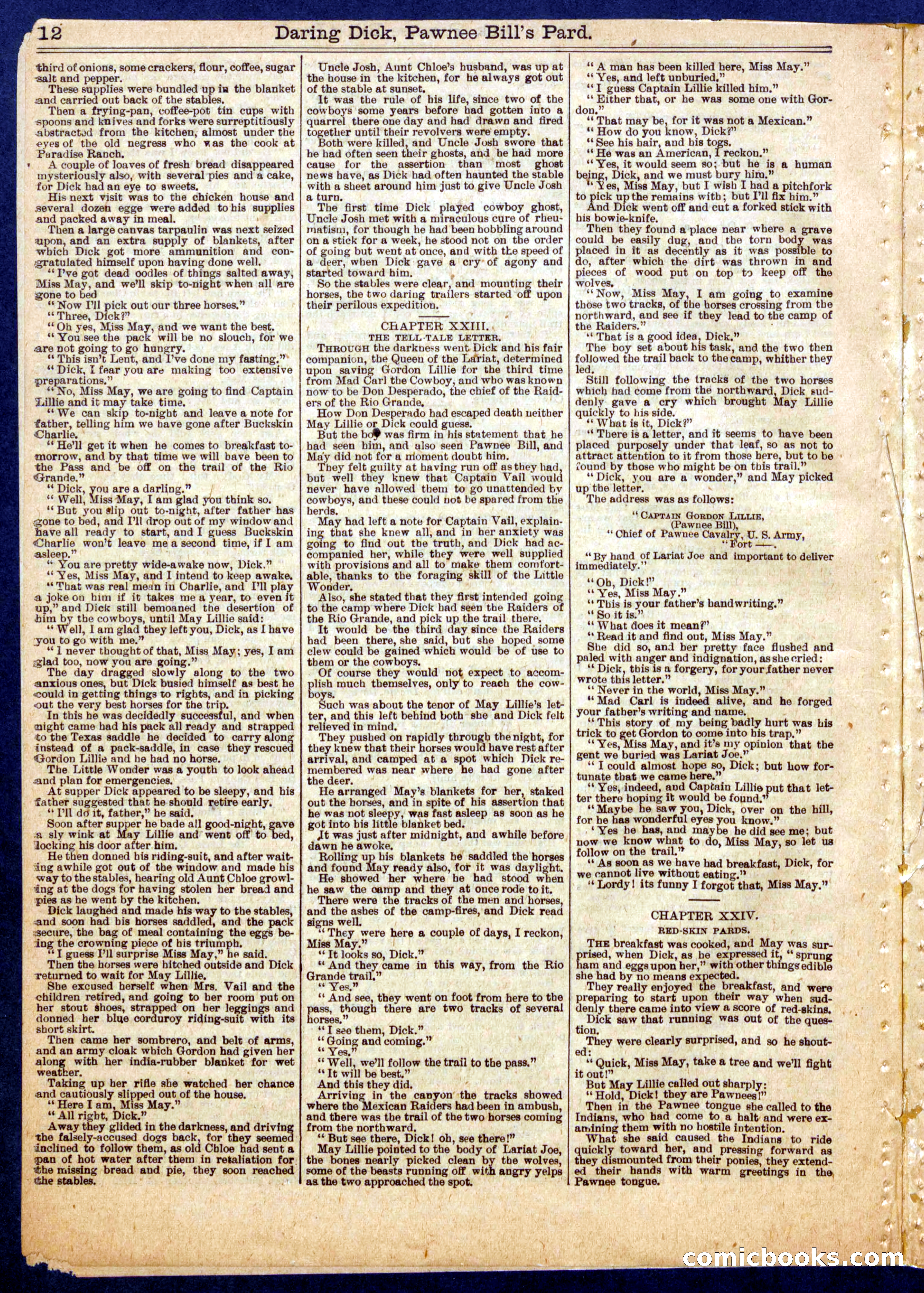 Beadle's Half Dime Library No. 725 — page 12 of 16