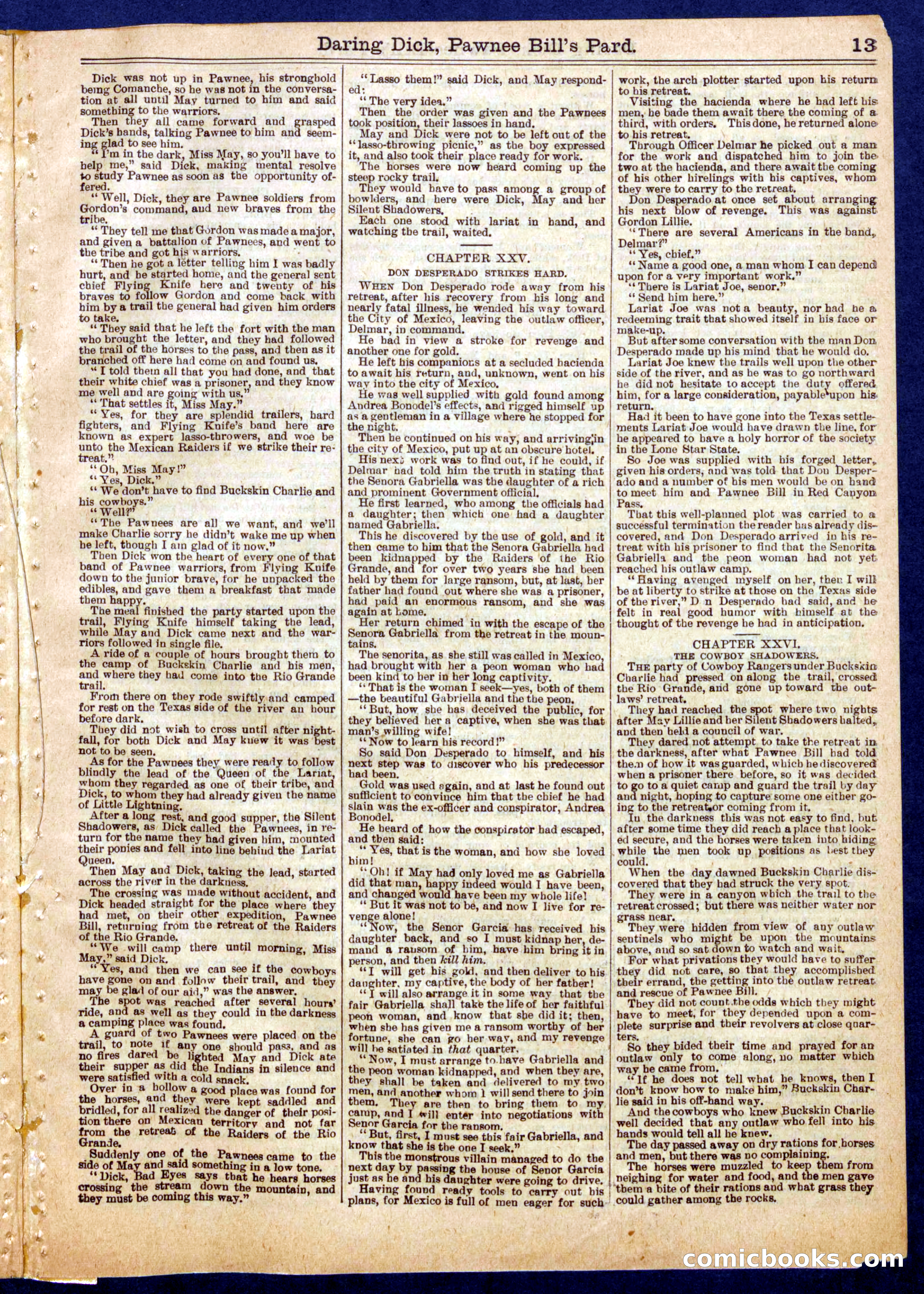 Beadle's Half Dime Library No. 725 — page 13 of 16