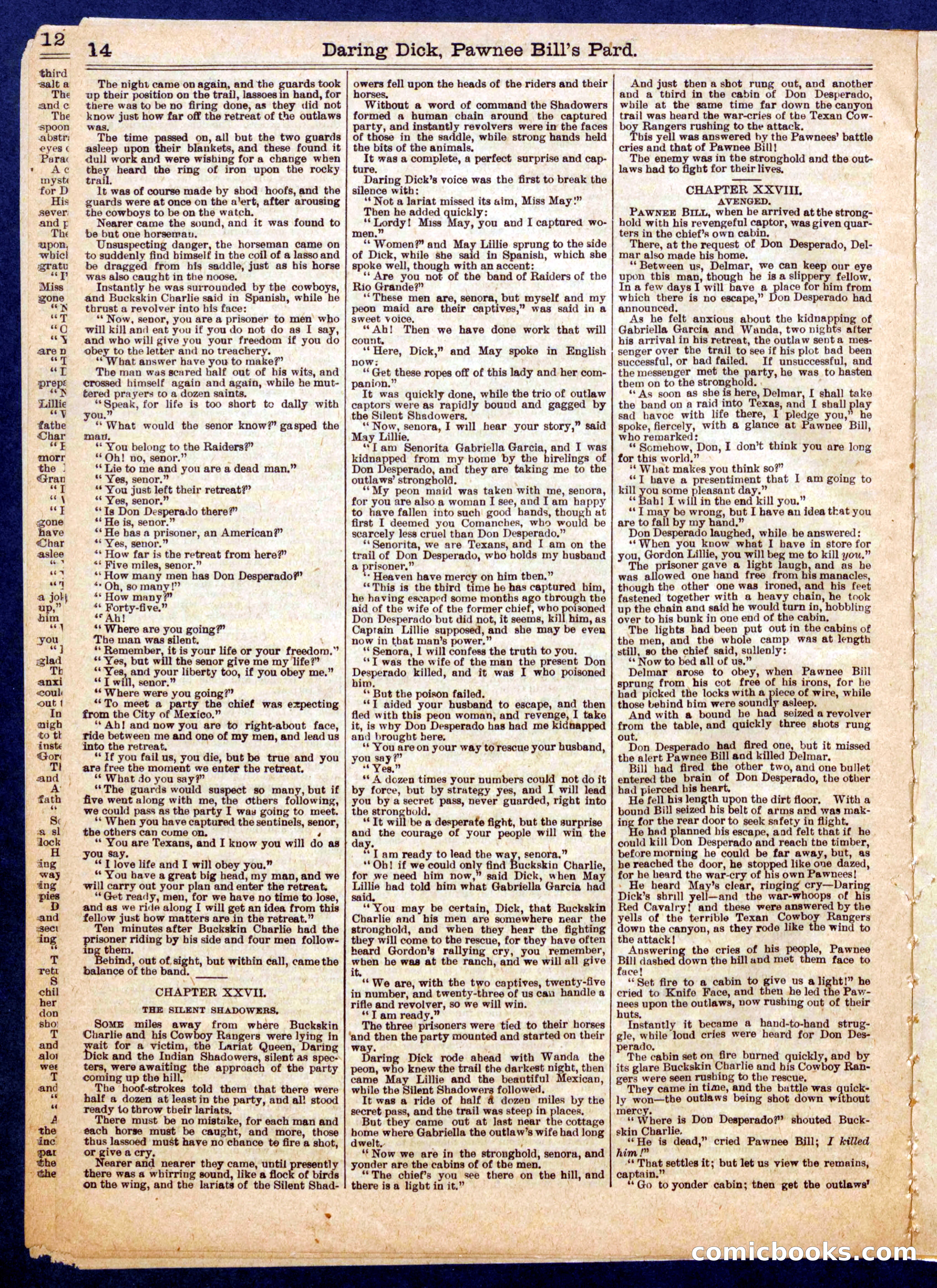 Beadle's Half Dime Library No. 725 — page 14 of 16