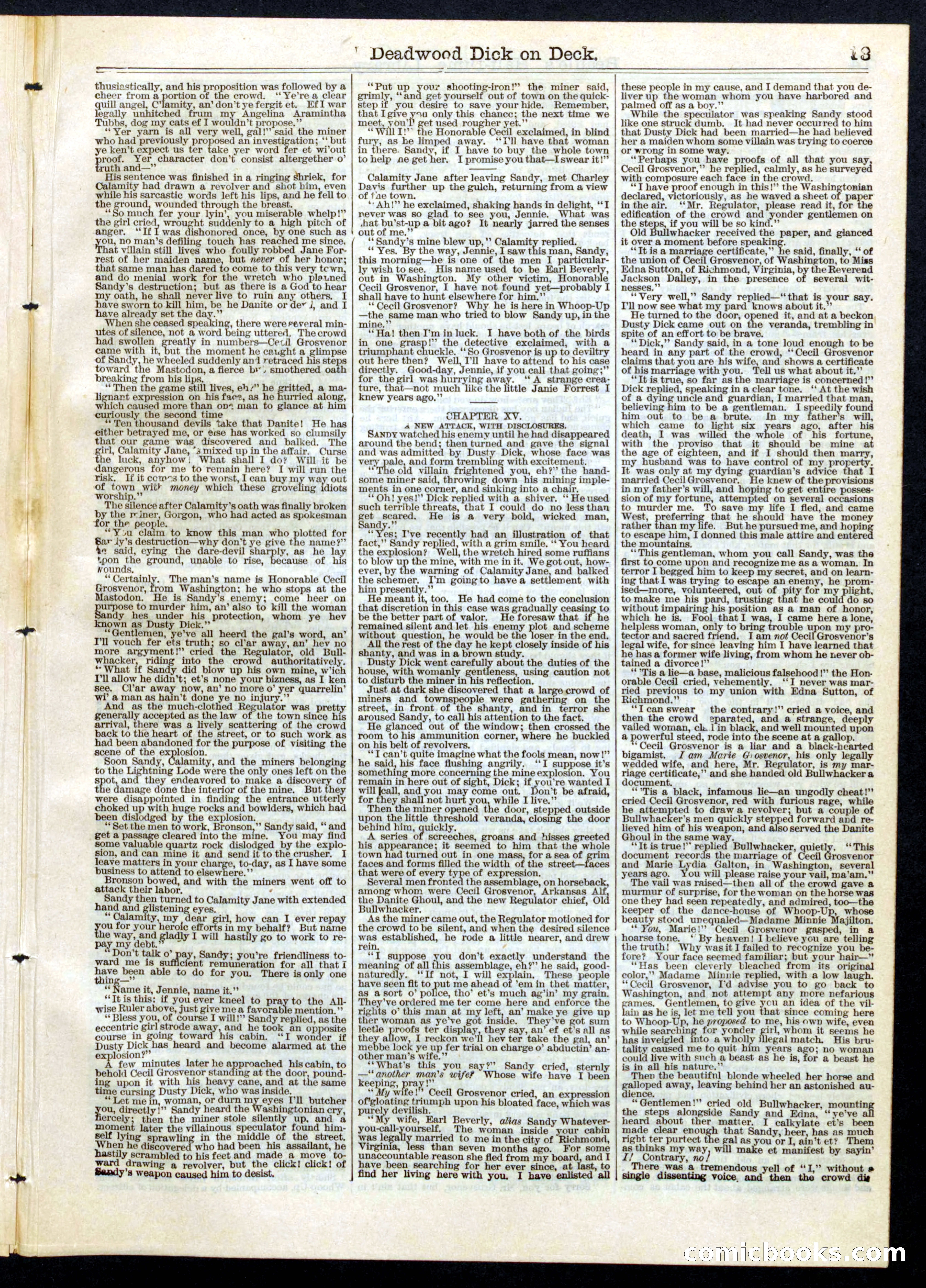 Beadle's Half Dime Library, No. 73 — page 13 of 16