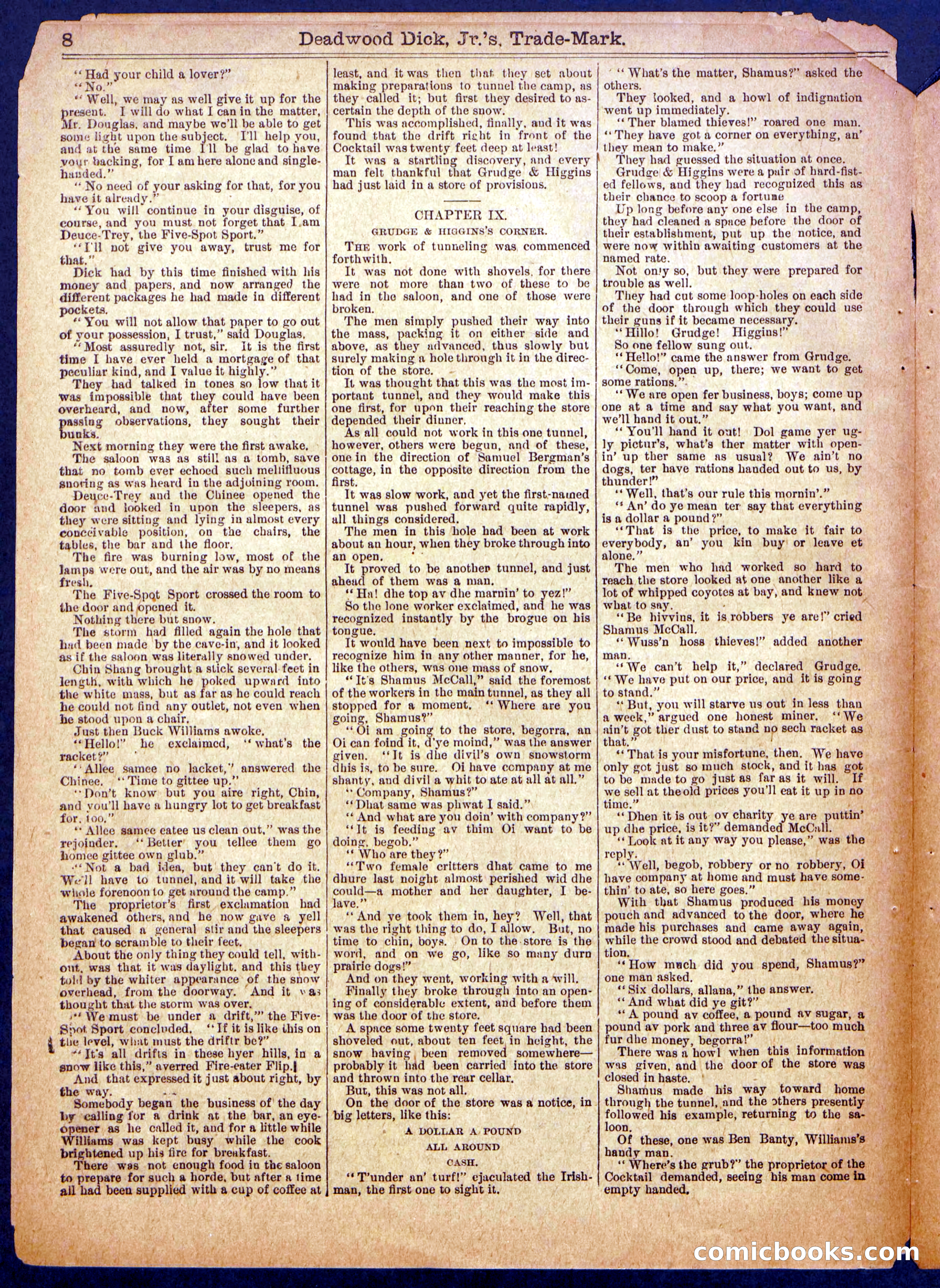Beadle's Half Dime Library No. 904 — page 8 of 16