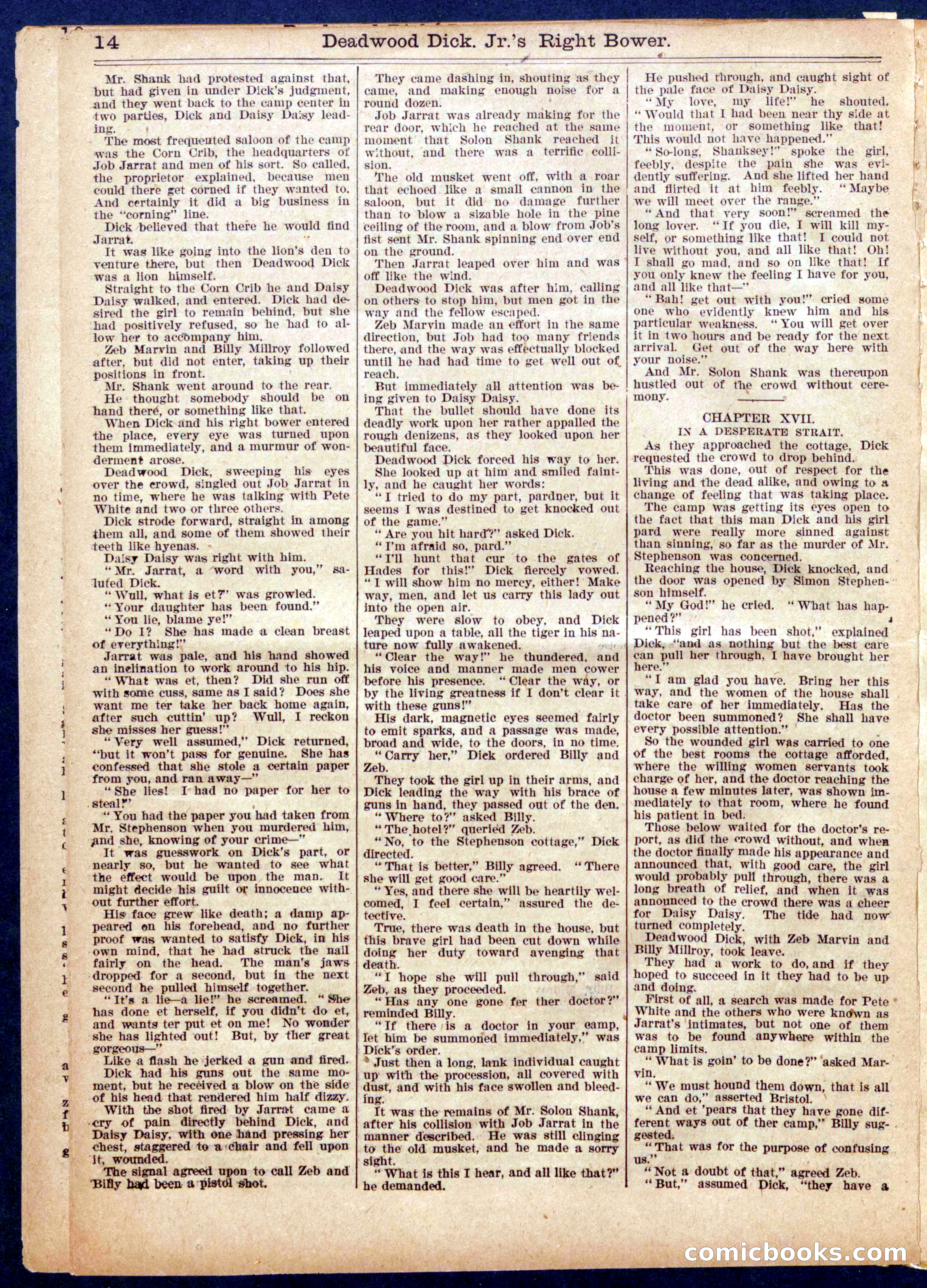 Beadle's Half Dime Library No. 951 — page 14 of 16