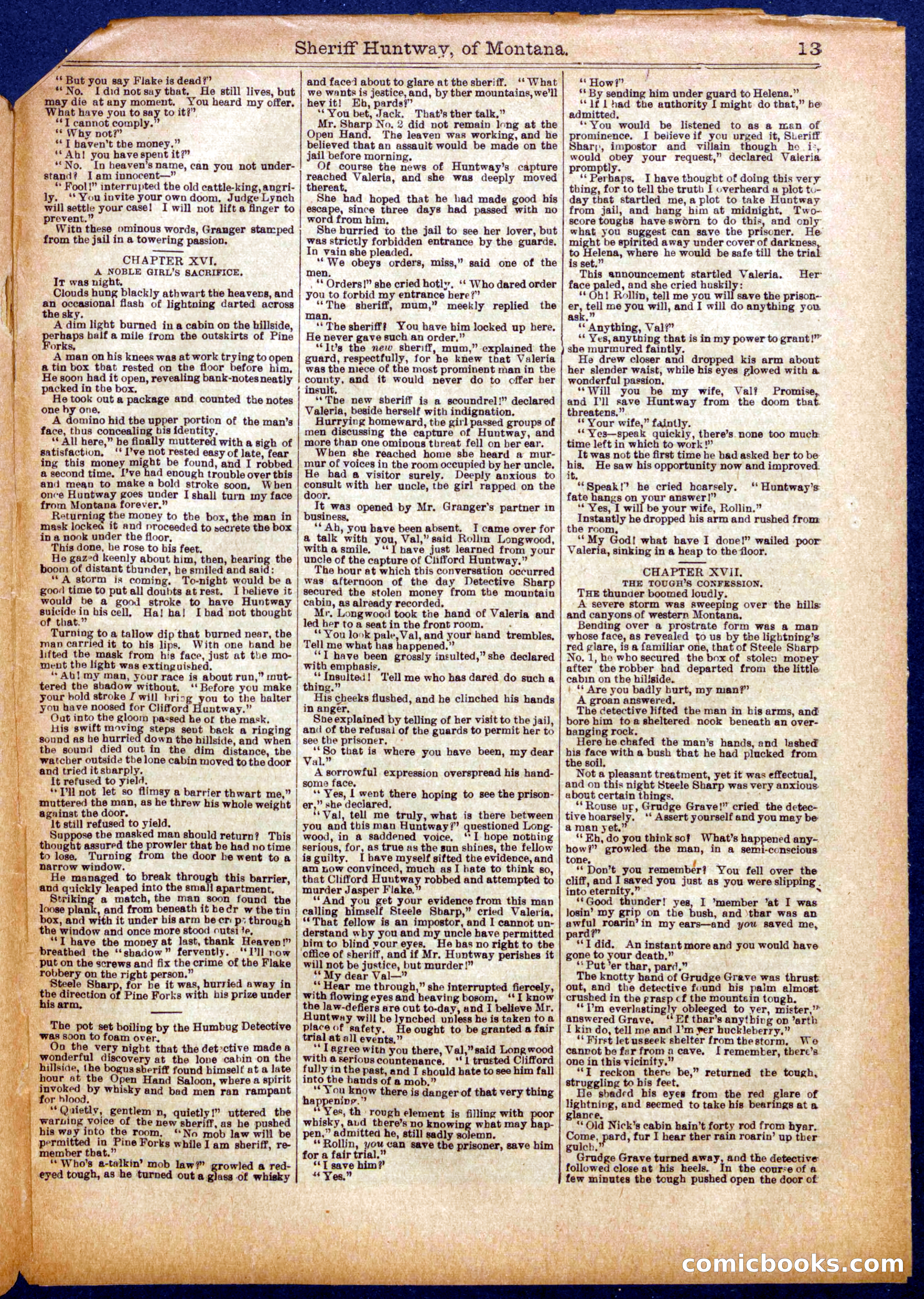 Beadle's Half Dime Library No. 993 — page 13 of 16