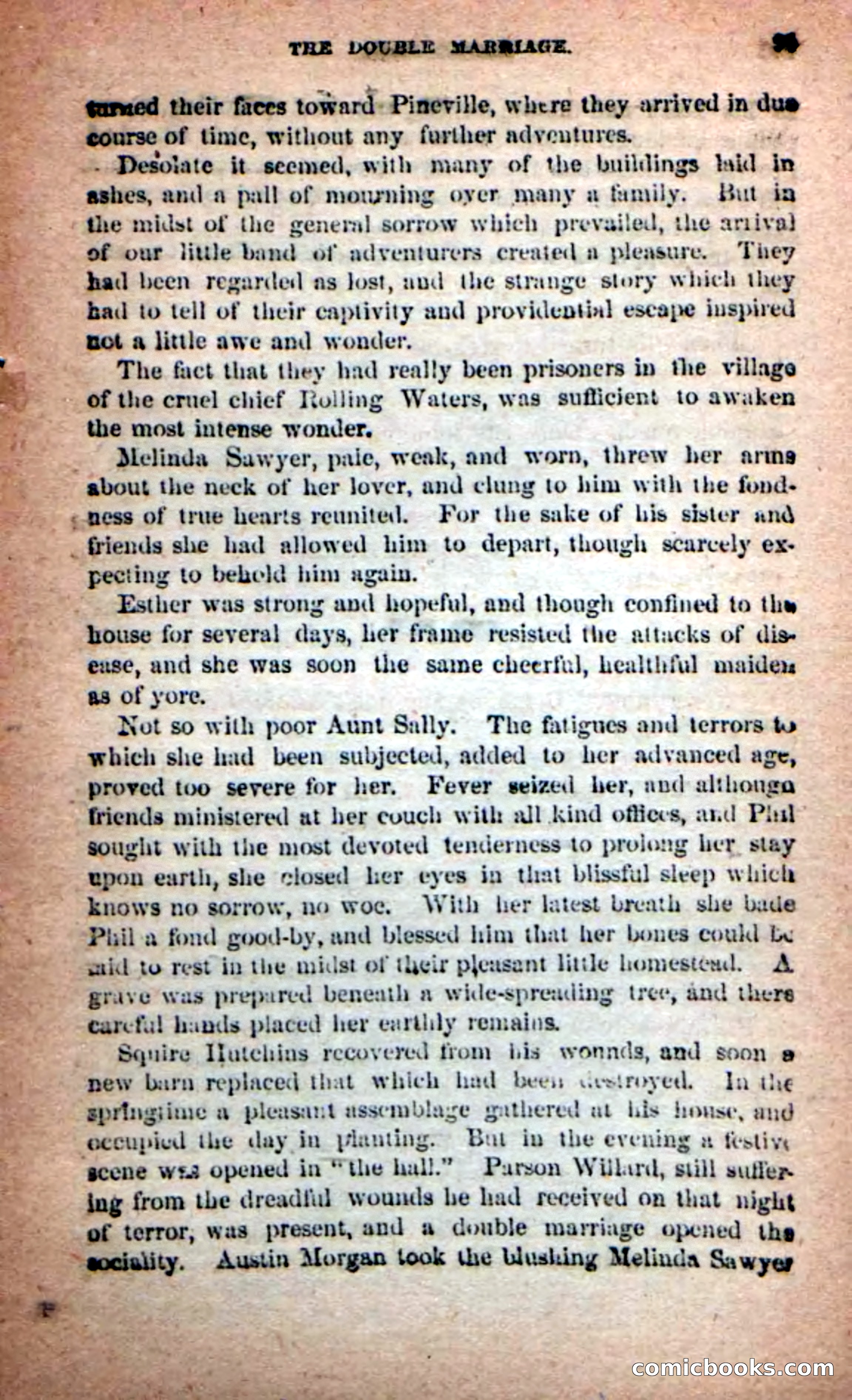 Beadle's Dime Novels: Simple Phil — page 95 of 100