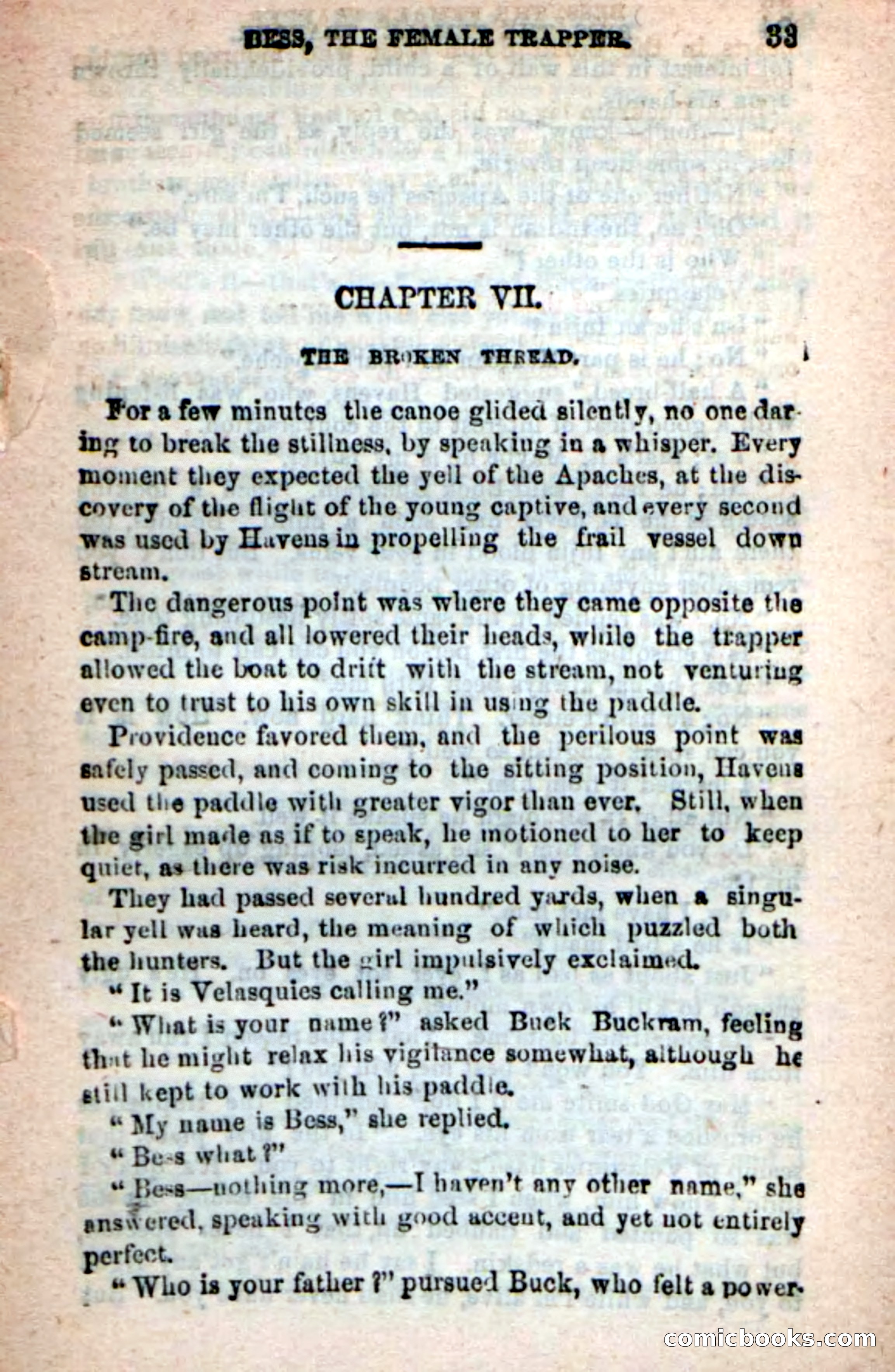 Beadle's New Dime Novels: 'Bess, the Trapper' — page 29 of 101